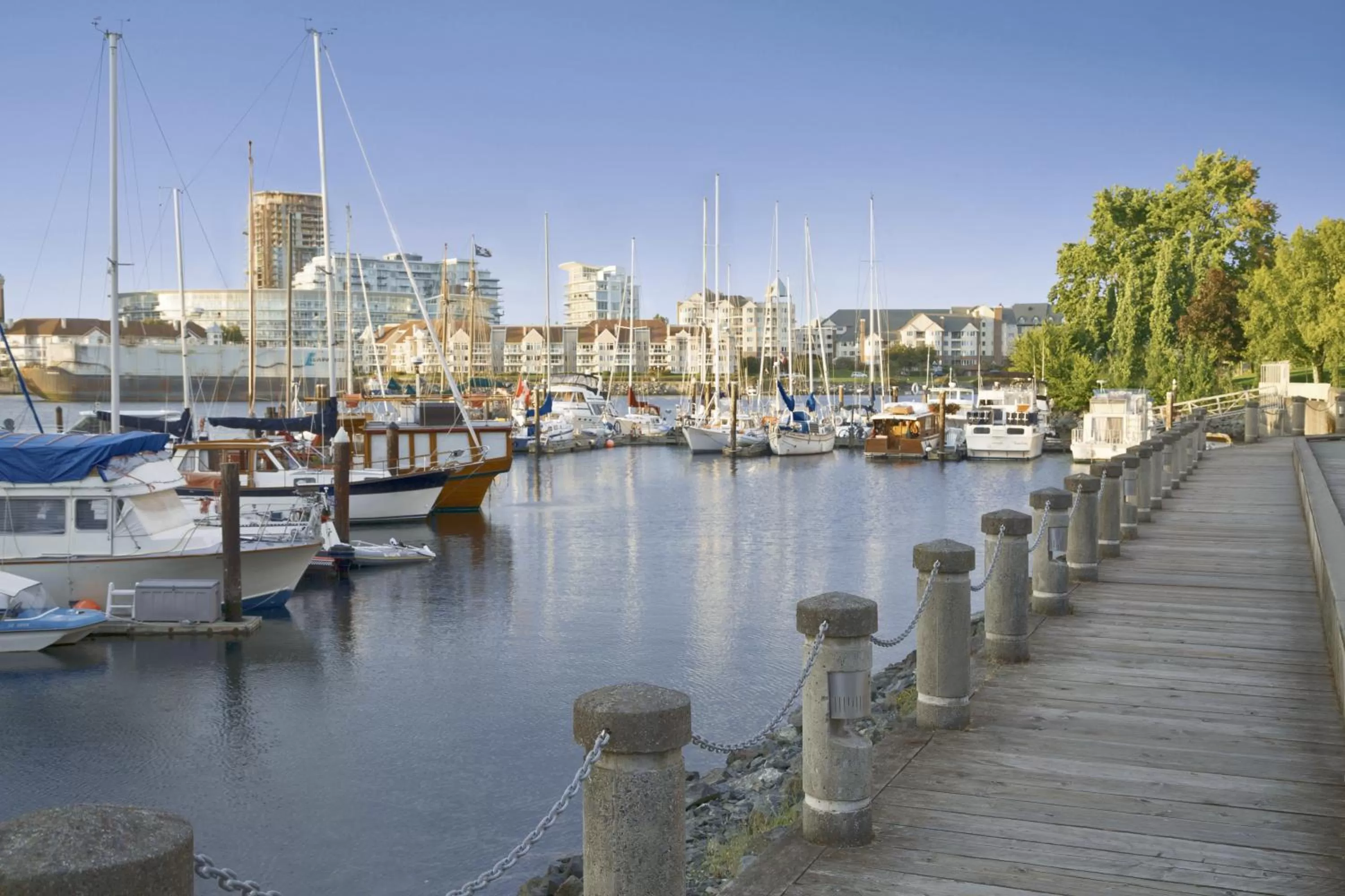 Sea view in Coast Victoria Hotel & Marina by APA