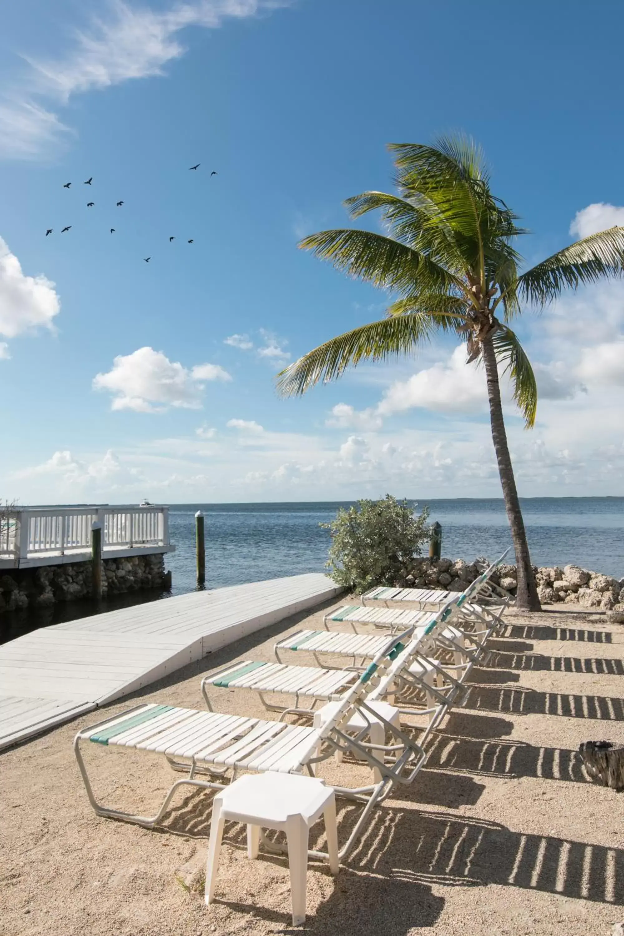 Beach in Amoray Dive Resort