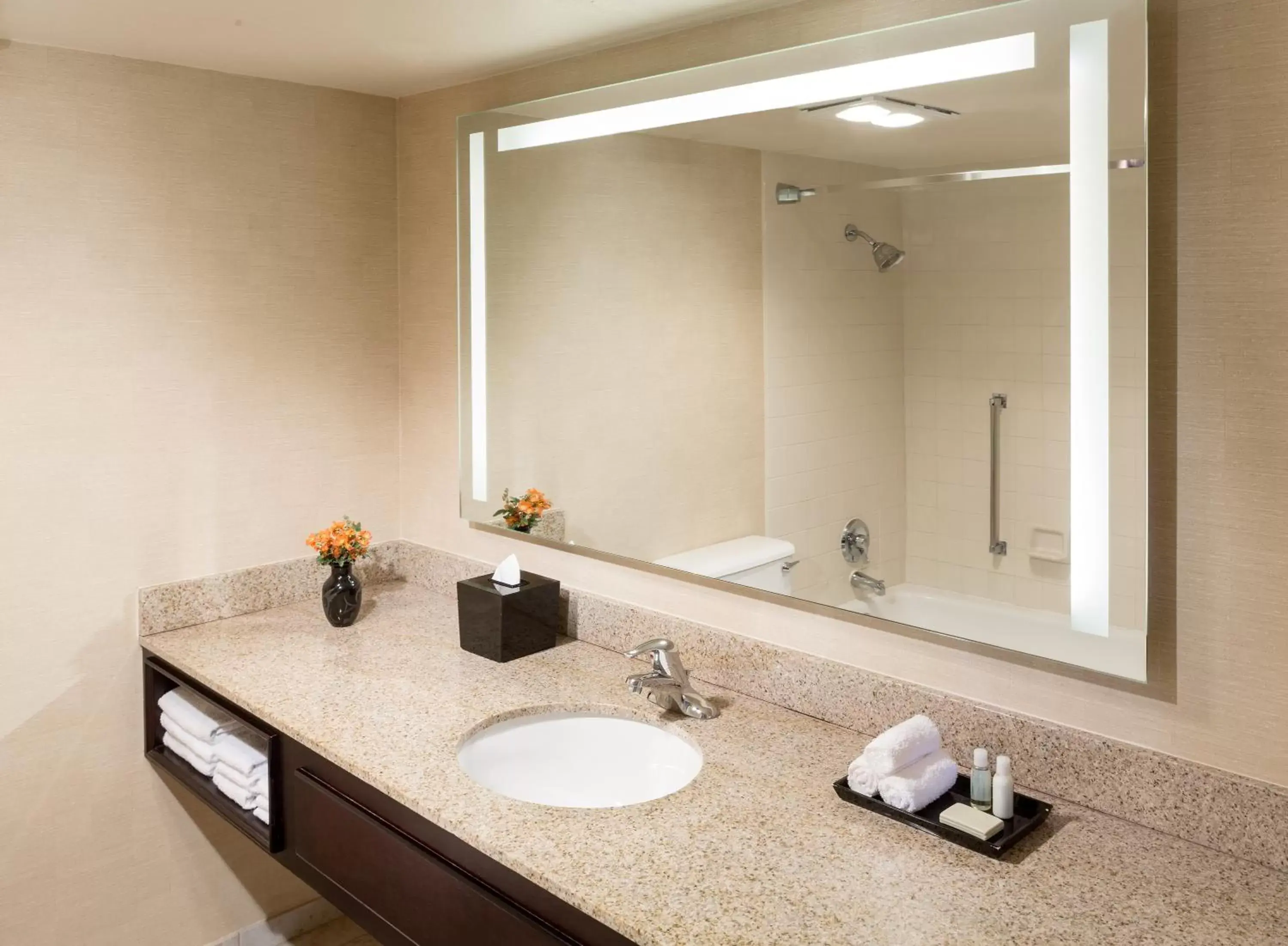 Shower, Bathroom in Kayenta Monument Valley Inn