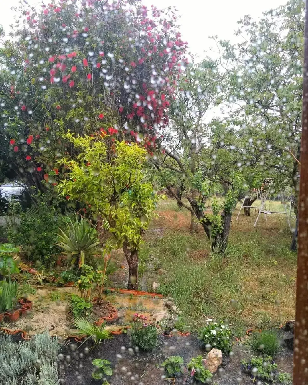 Garden in Alghero in bicicletta