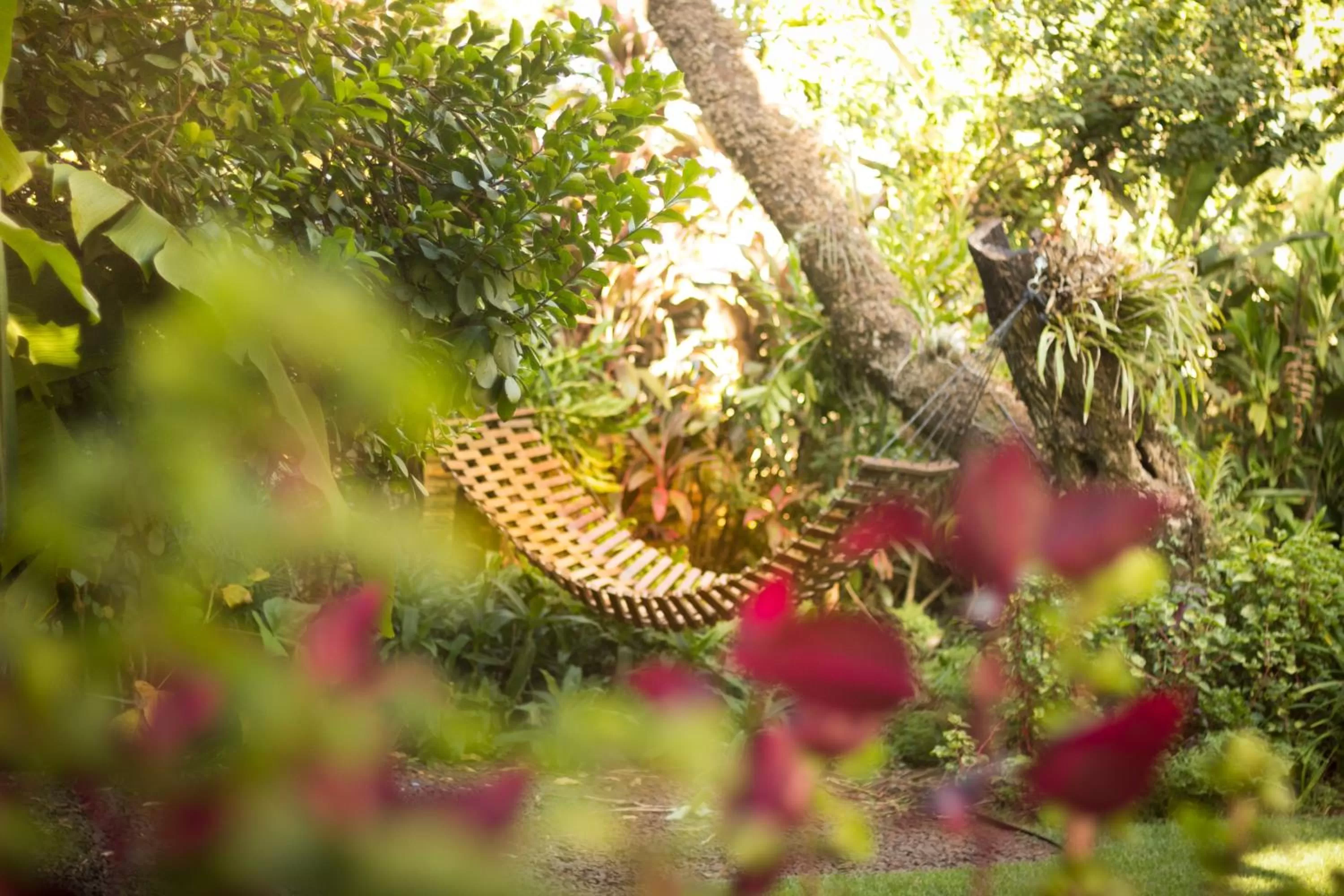 Garden view in Las Orquideas Parque Hotel