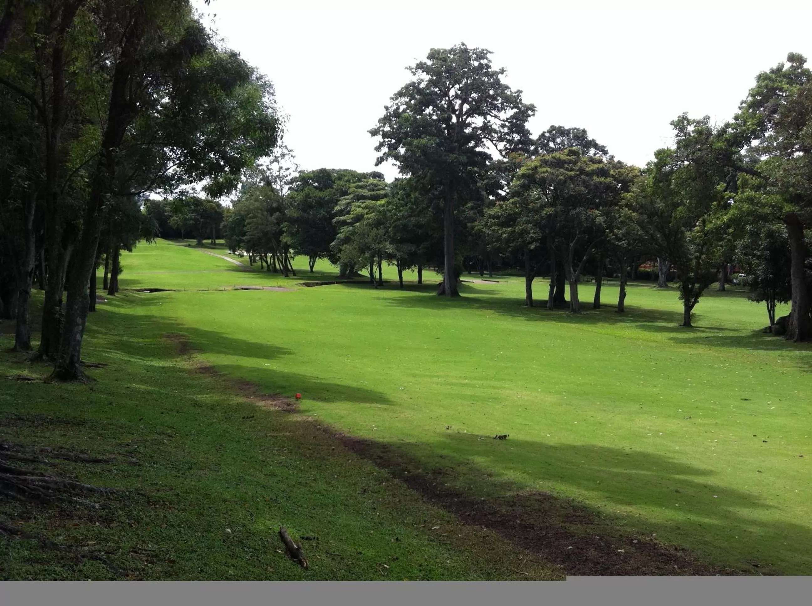 Golfcourse in Terrazas de Golf Boutique Hotel