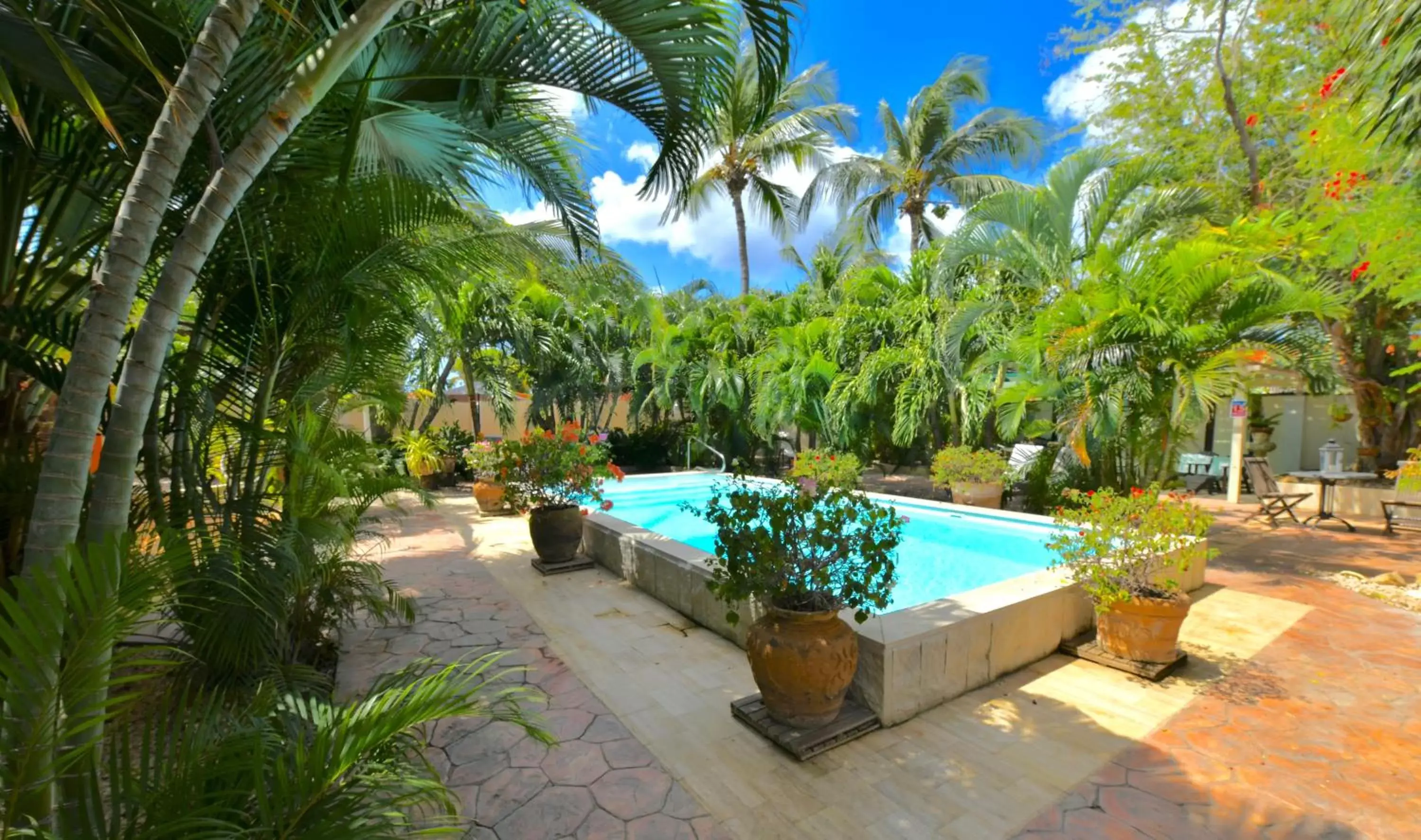 Swimming Pool in Wonders Boutique Hotel