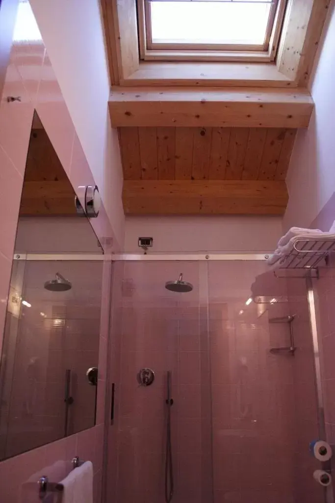 Shower, Bathroom in Albergo Bice
