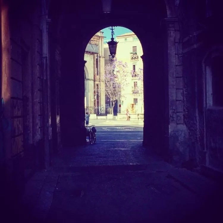 Neighbourhood in B&B Sciara Larmisi