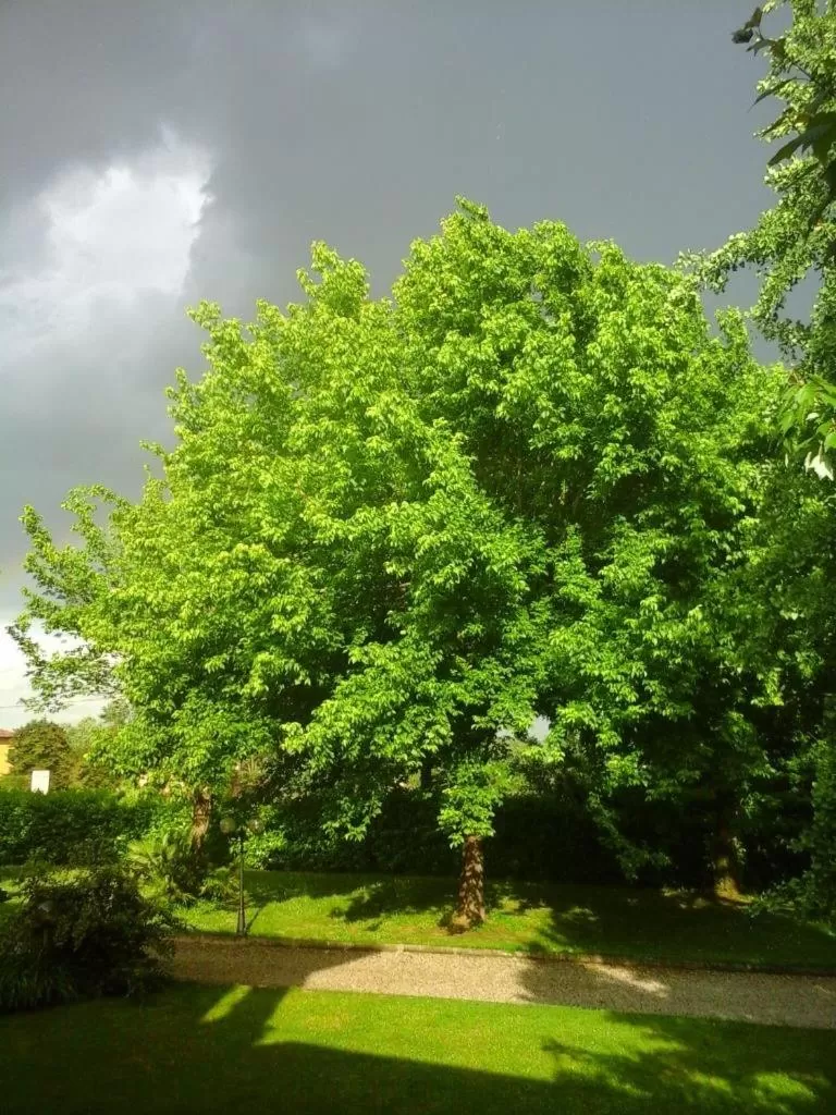 Garden in B&B Mo Va Là