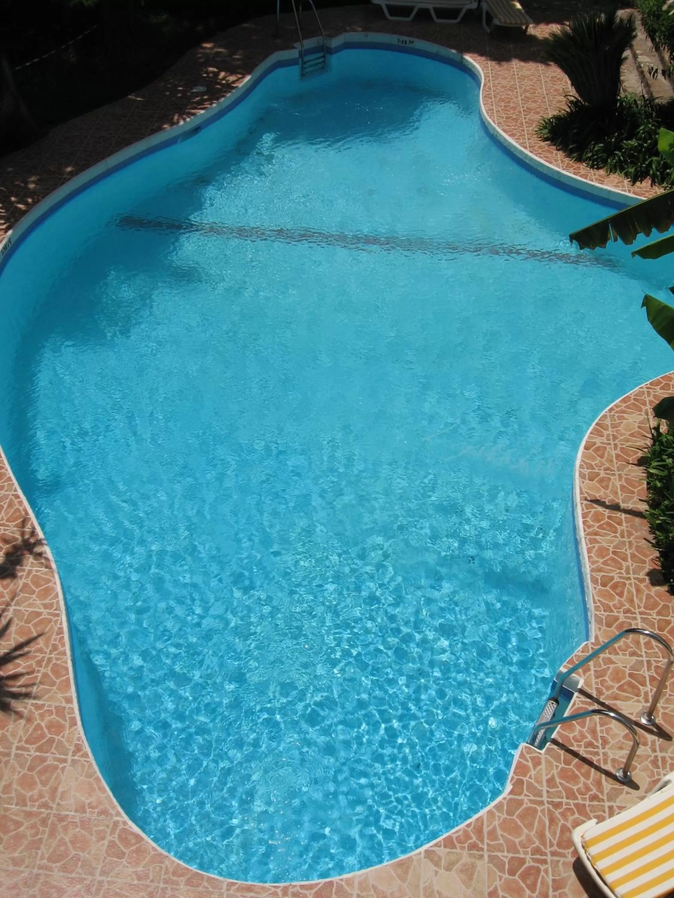 Swimming pool in Hotel Residencia Miami