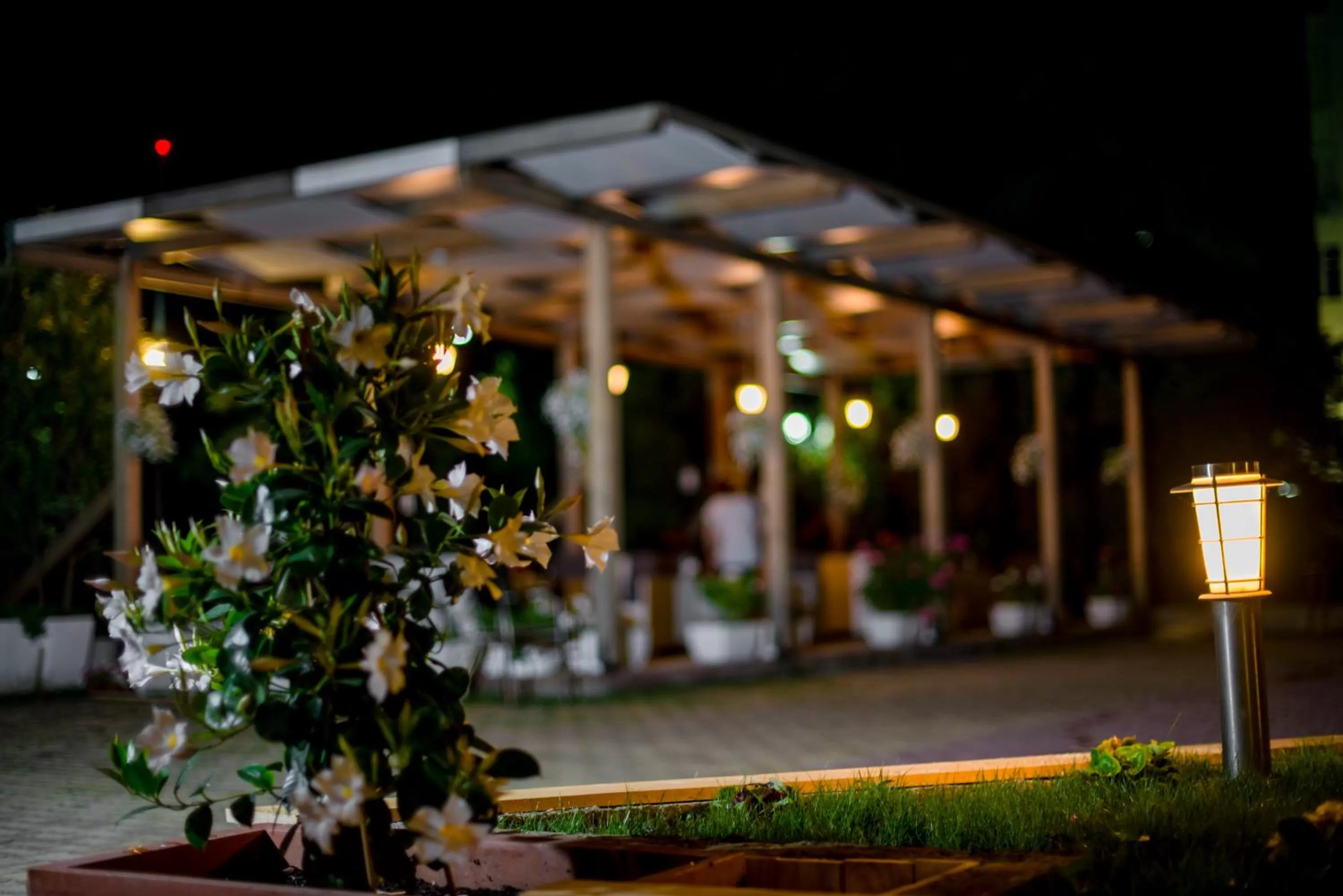 Other in Kadrisa Hotel