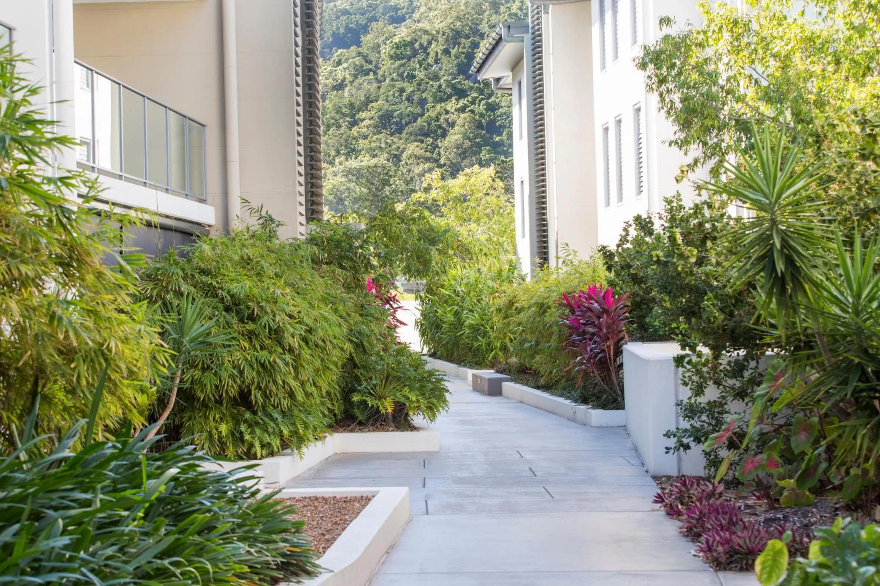 Garden in Peppers Blue on Blue