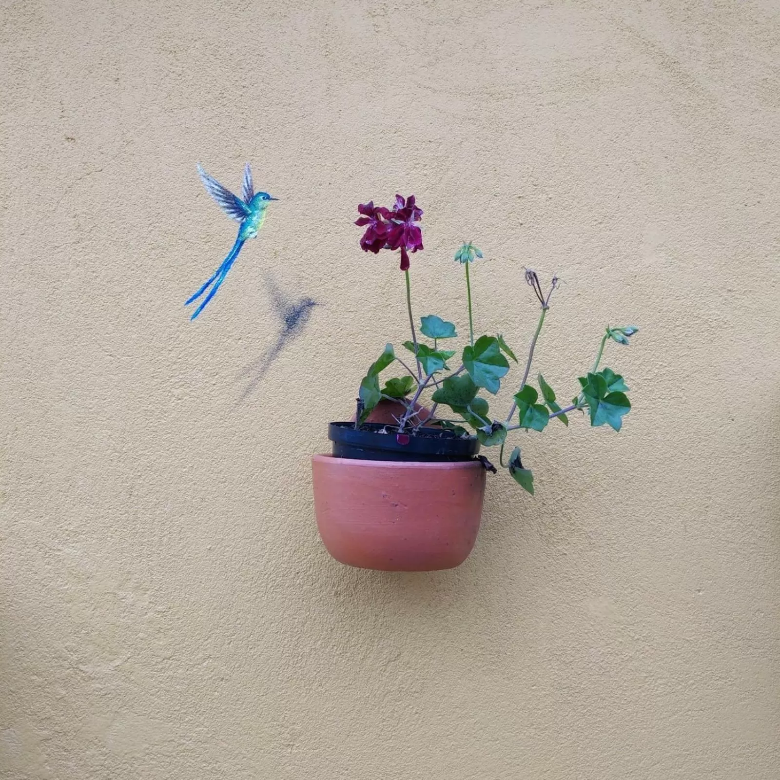 Patio in Hotel La Caracola