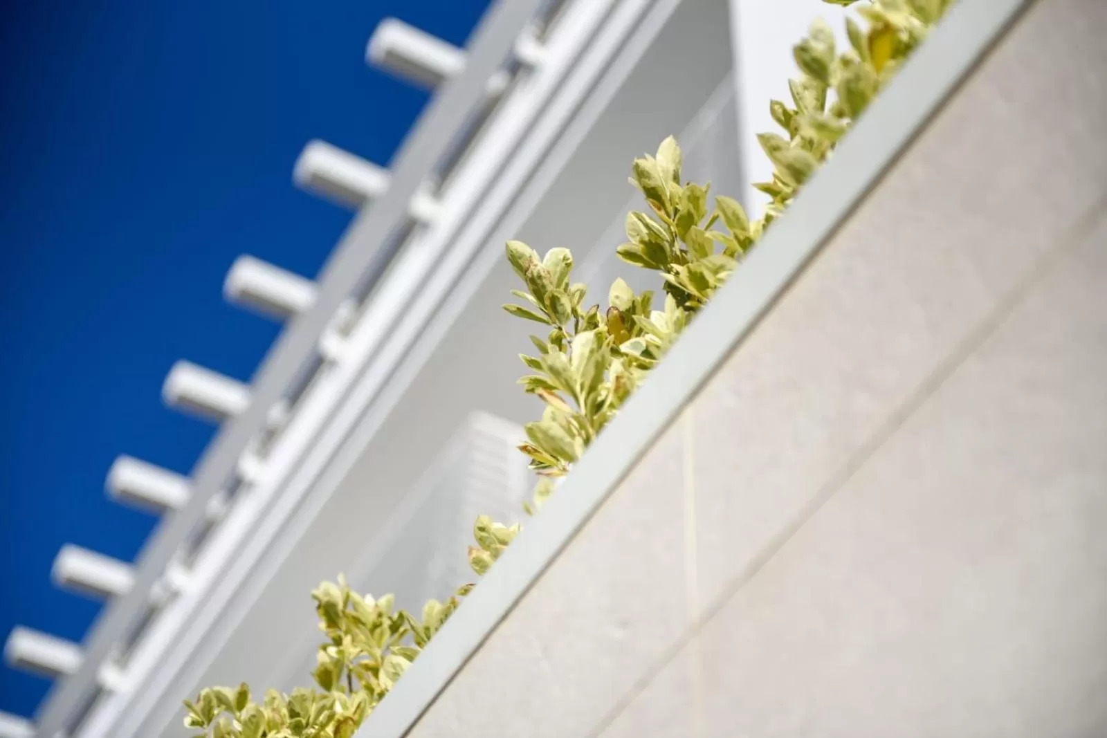 Property building in Baldinini Hotel