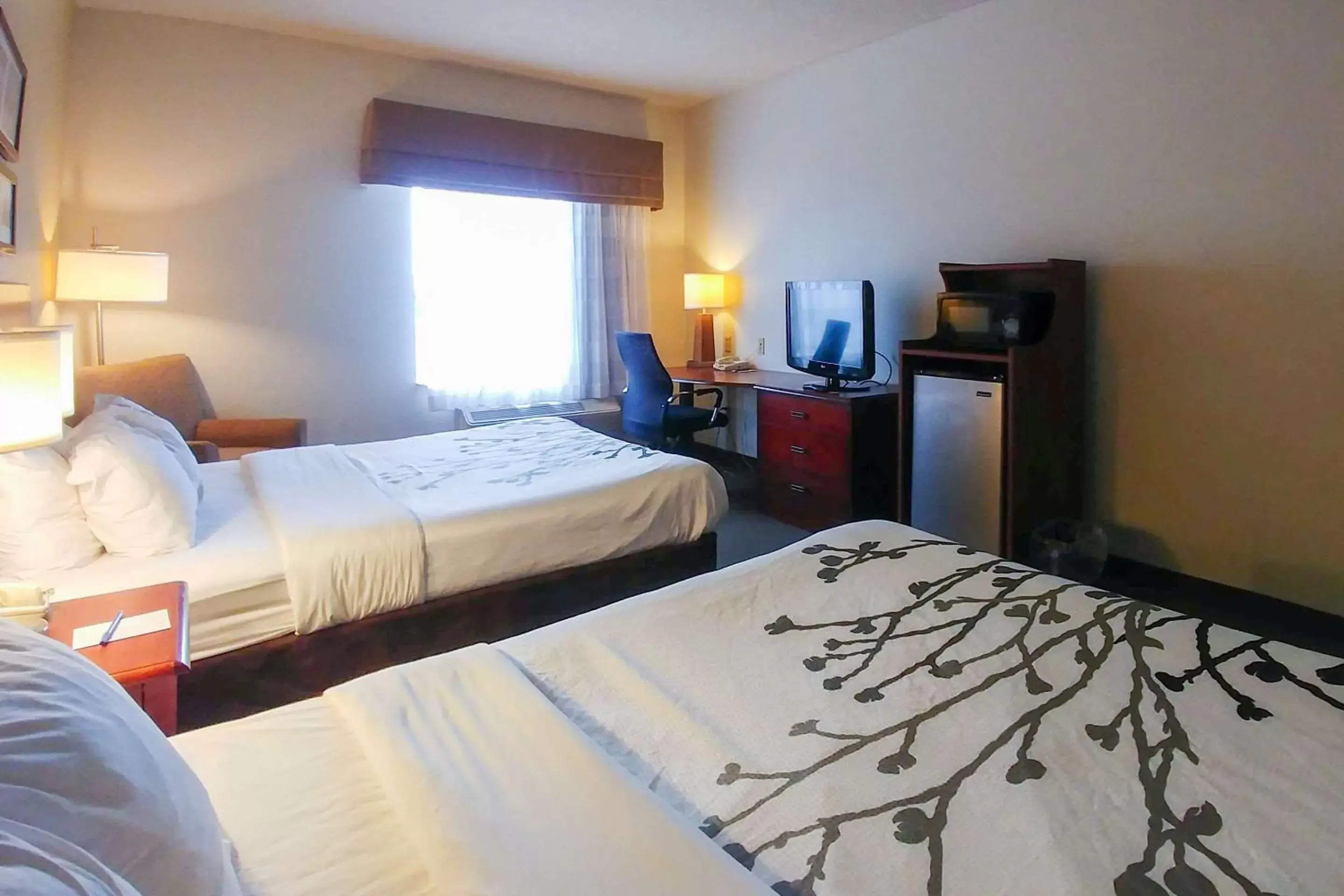 Photo of the whole room, Bed in Wingate by Wyndham Dublin Near Claytor Lake State Park