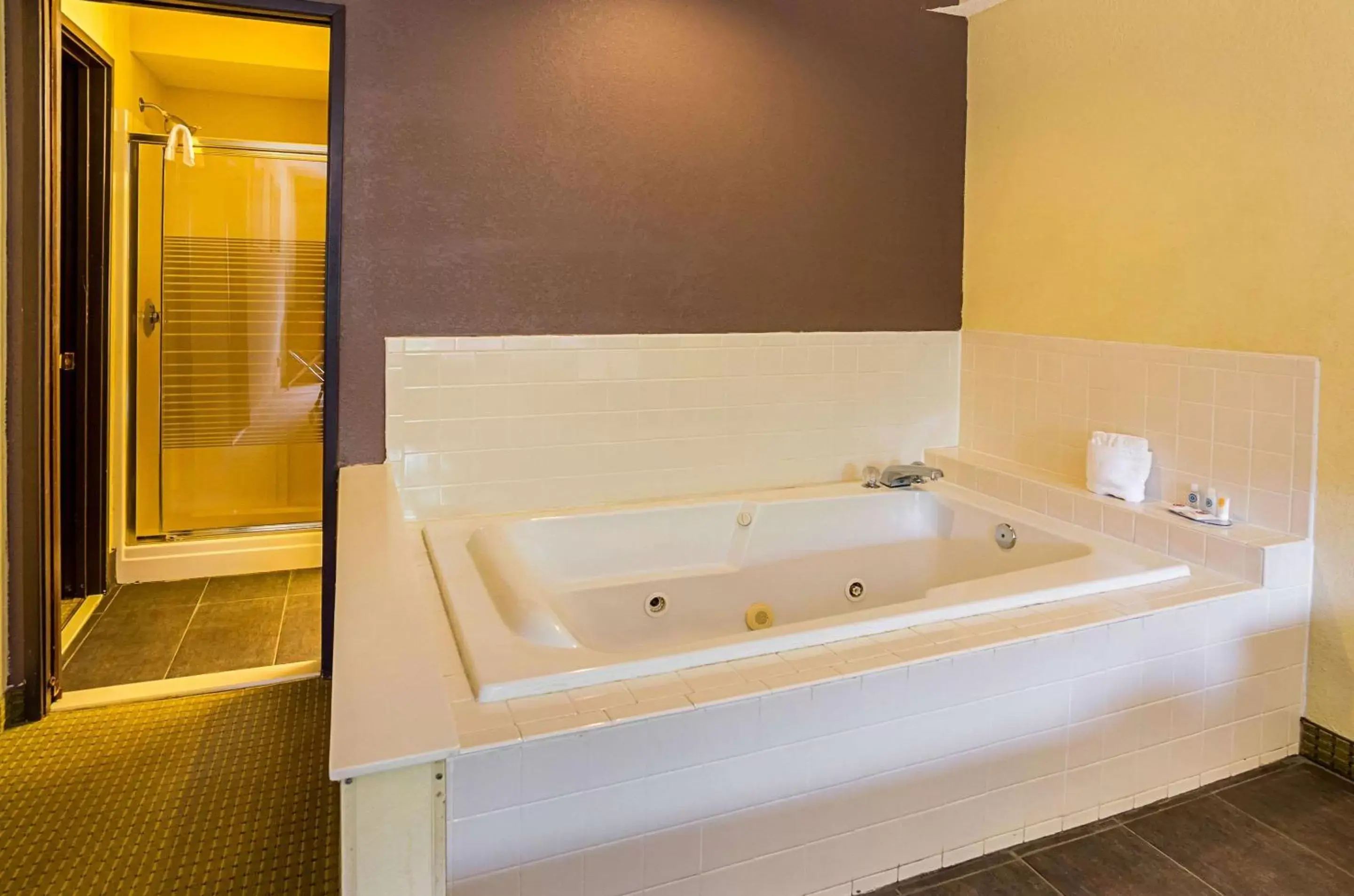 Bedroom, Bathroom in Quality Suites Altavista – Lynchburg South