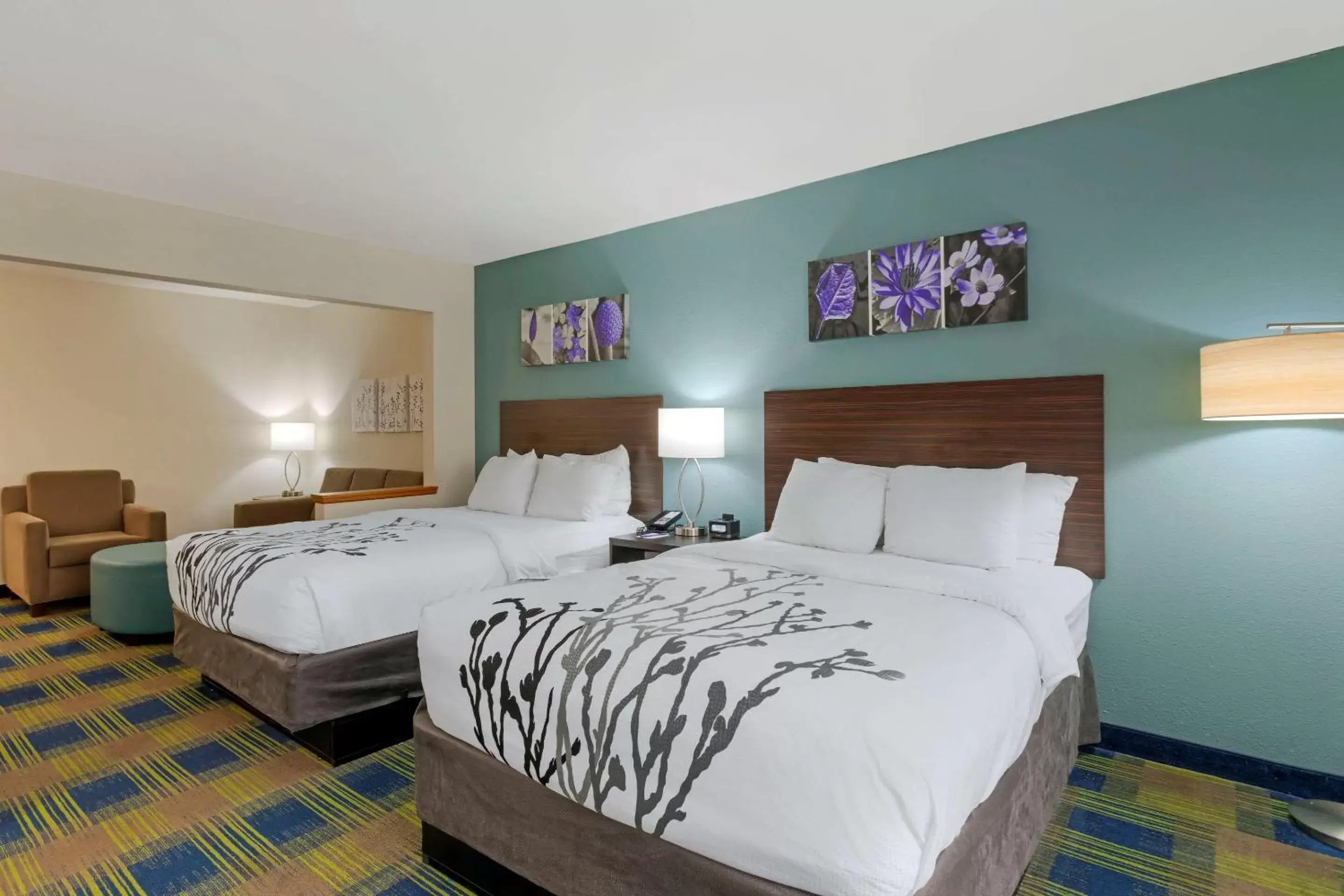 Photo of the whole room in Sleep Inn & Suites Smyrna – Nashville