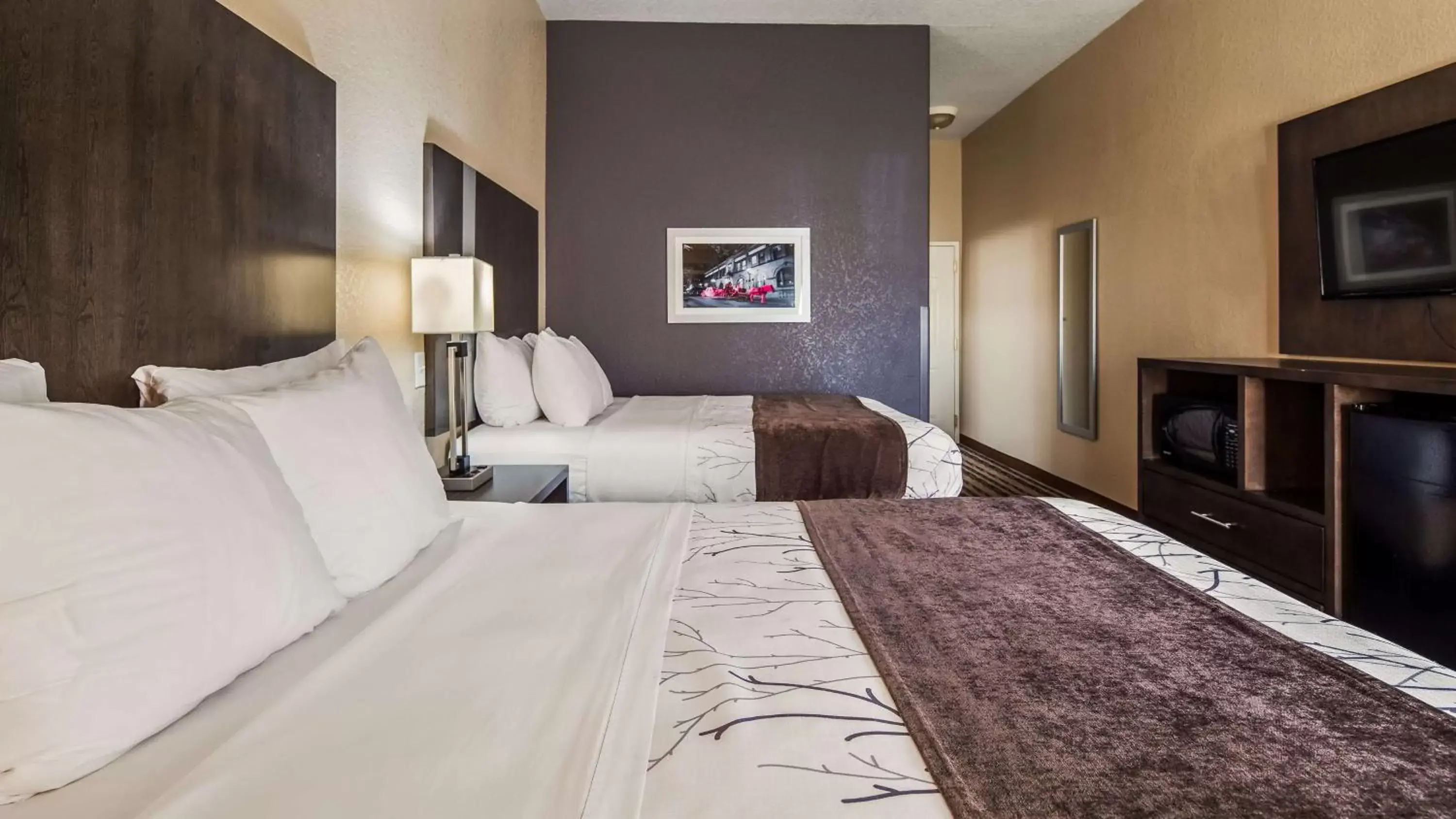 Bed in Best Western Boerne Inn & Suites
