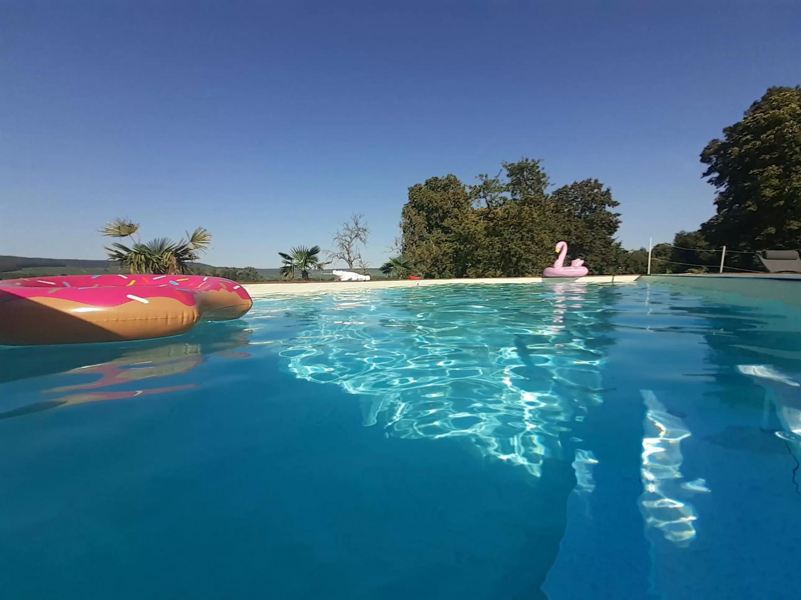 Swimming Pool in CHAMBRES D'HOTES DANS DOMAINE DE CHARME A EPERNAY