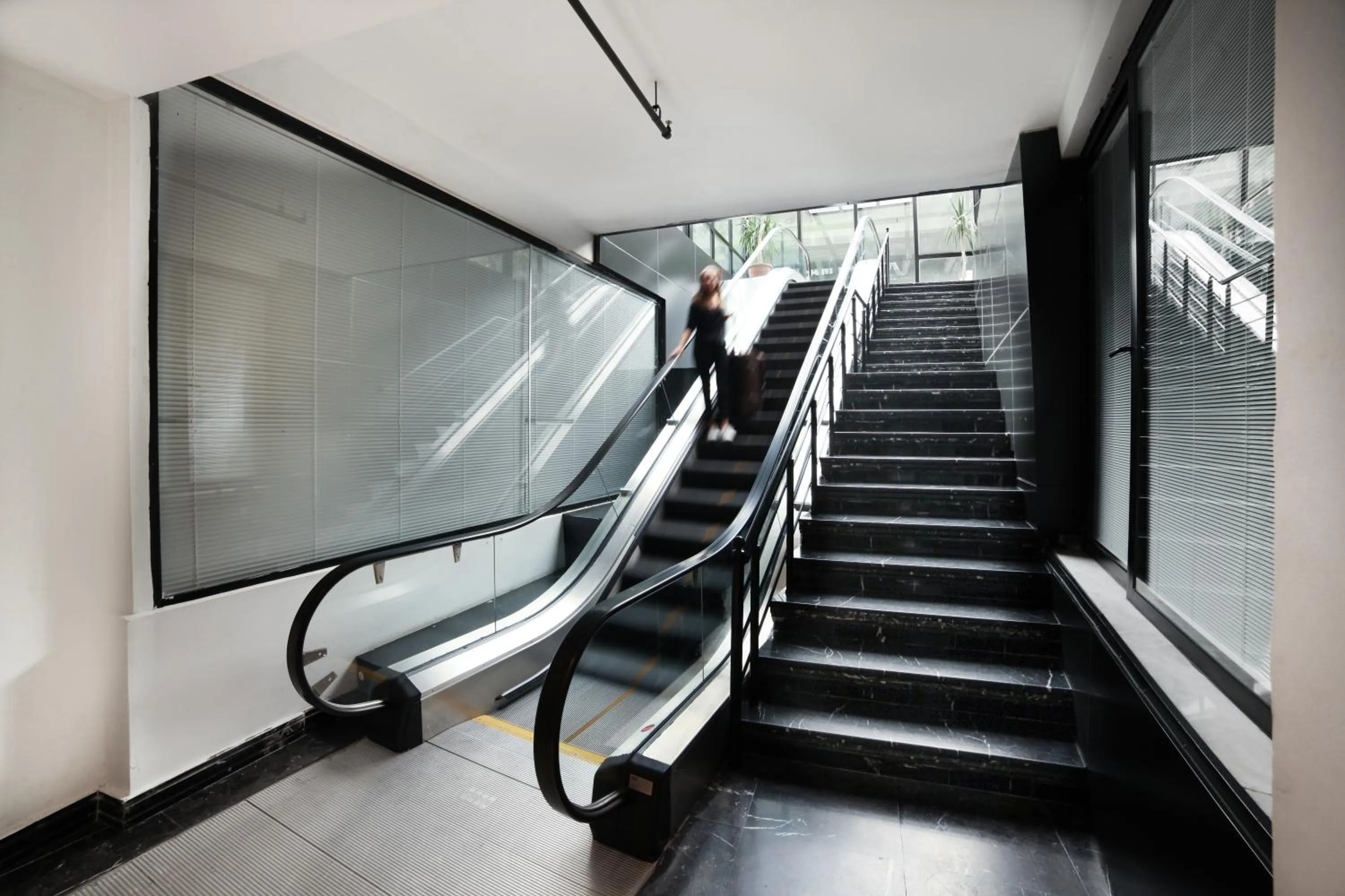 Lobby or reception in White Monarch Hotel