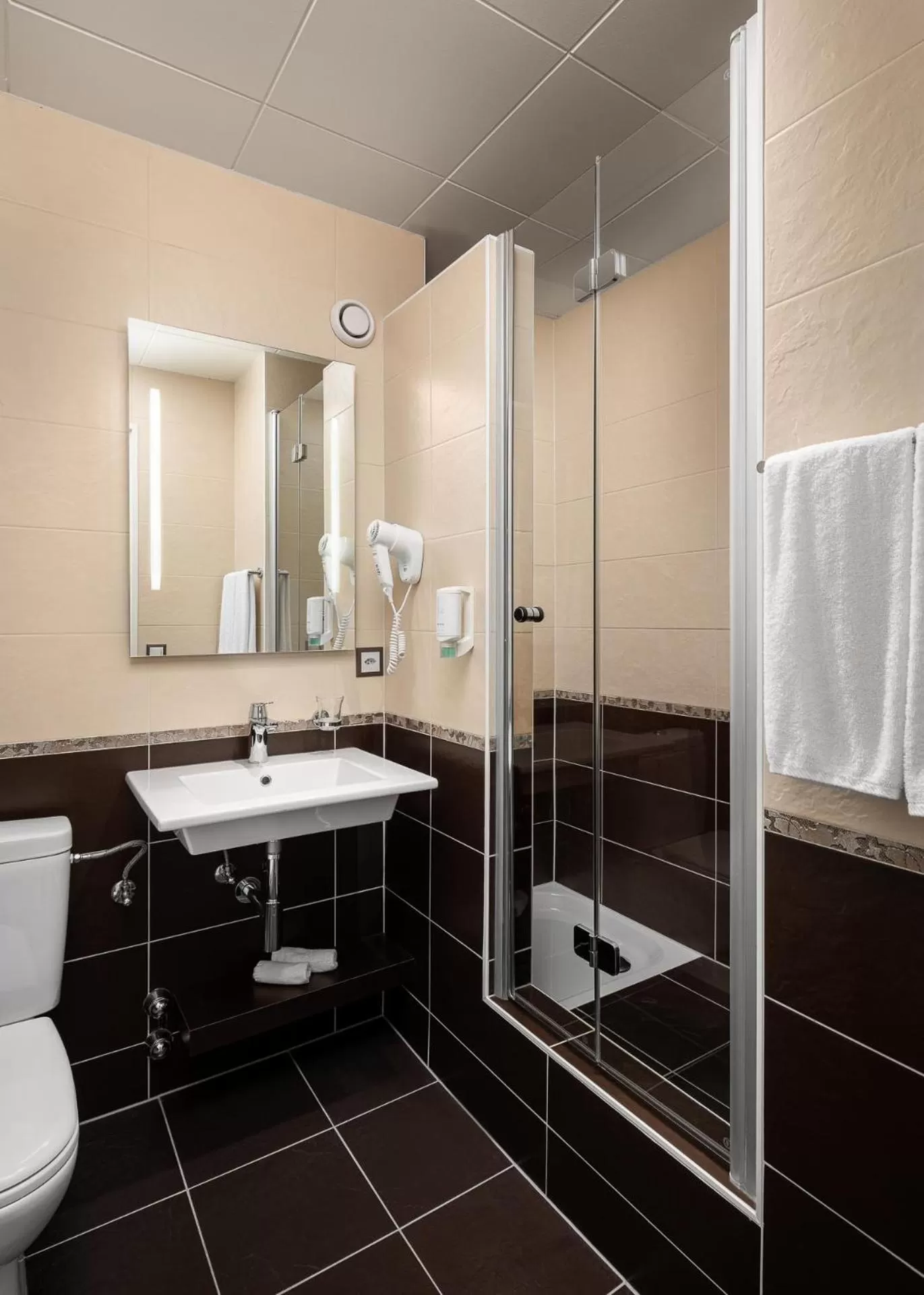 Bathroom in Hôtel des Alpes