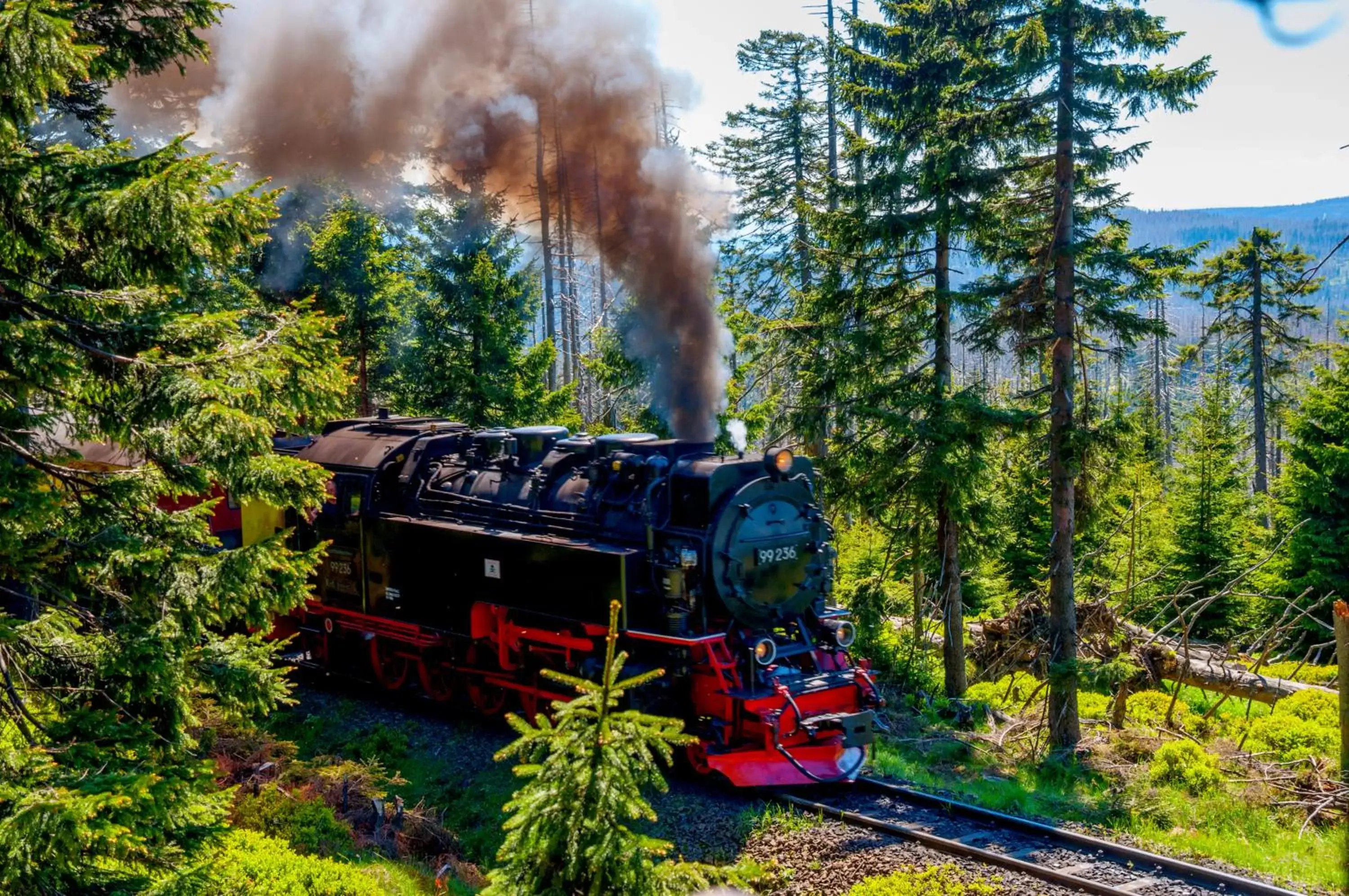 Nearby landmark in REGIOHOTEL Schanzenhaus Wernigerode