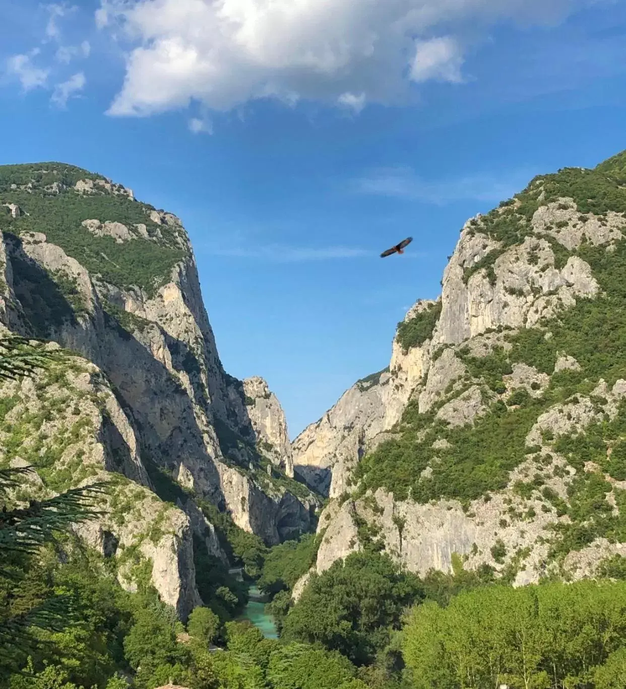 Natural Landscape in Albergo La Ginestra