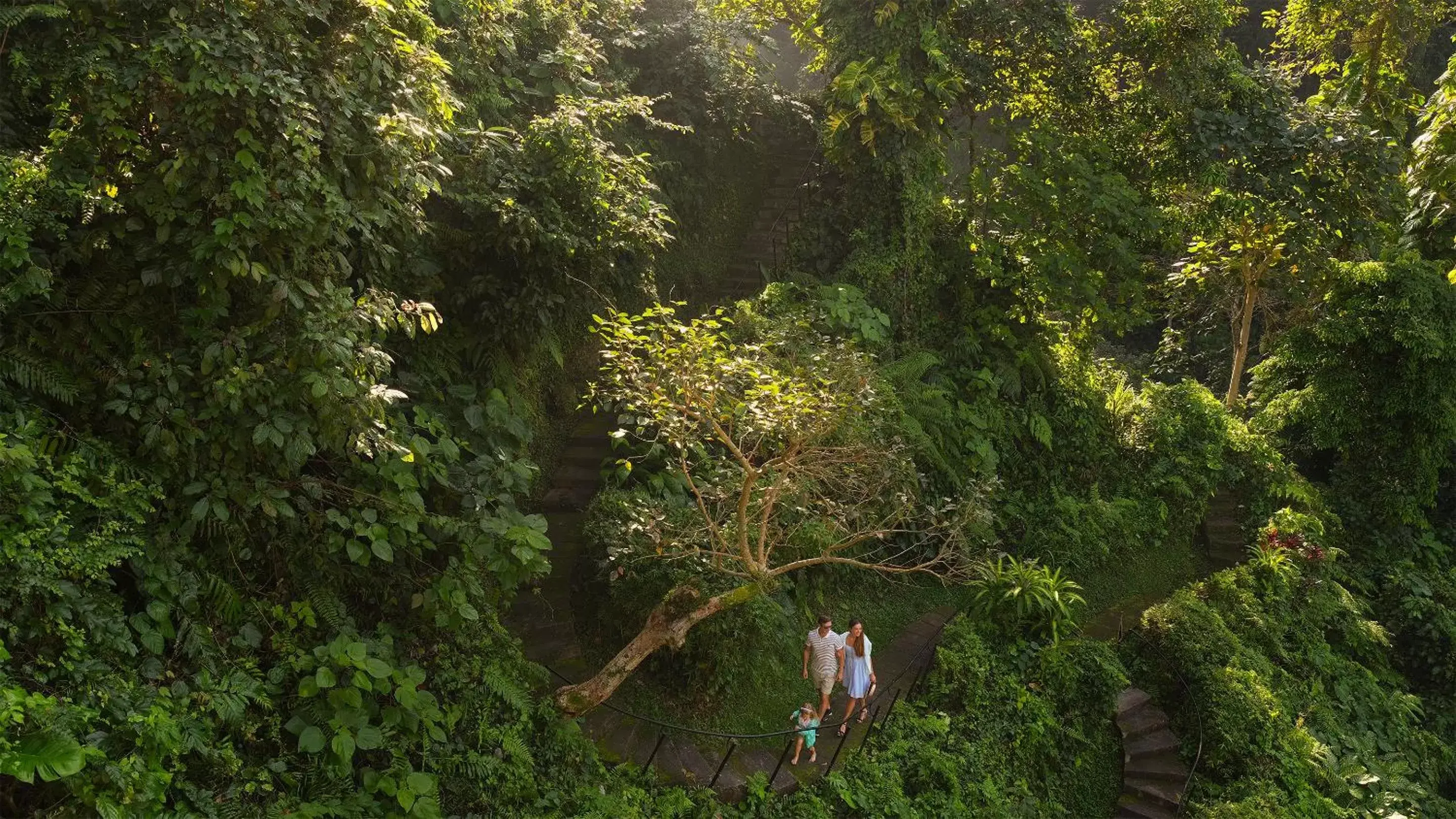 Natural landscape in Maya Ubud Resort & Spa