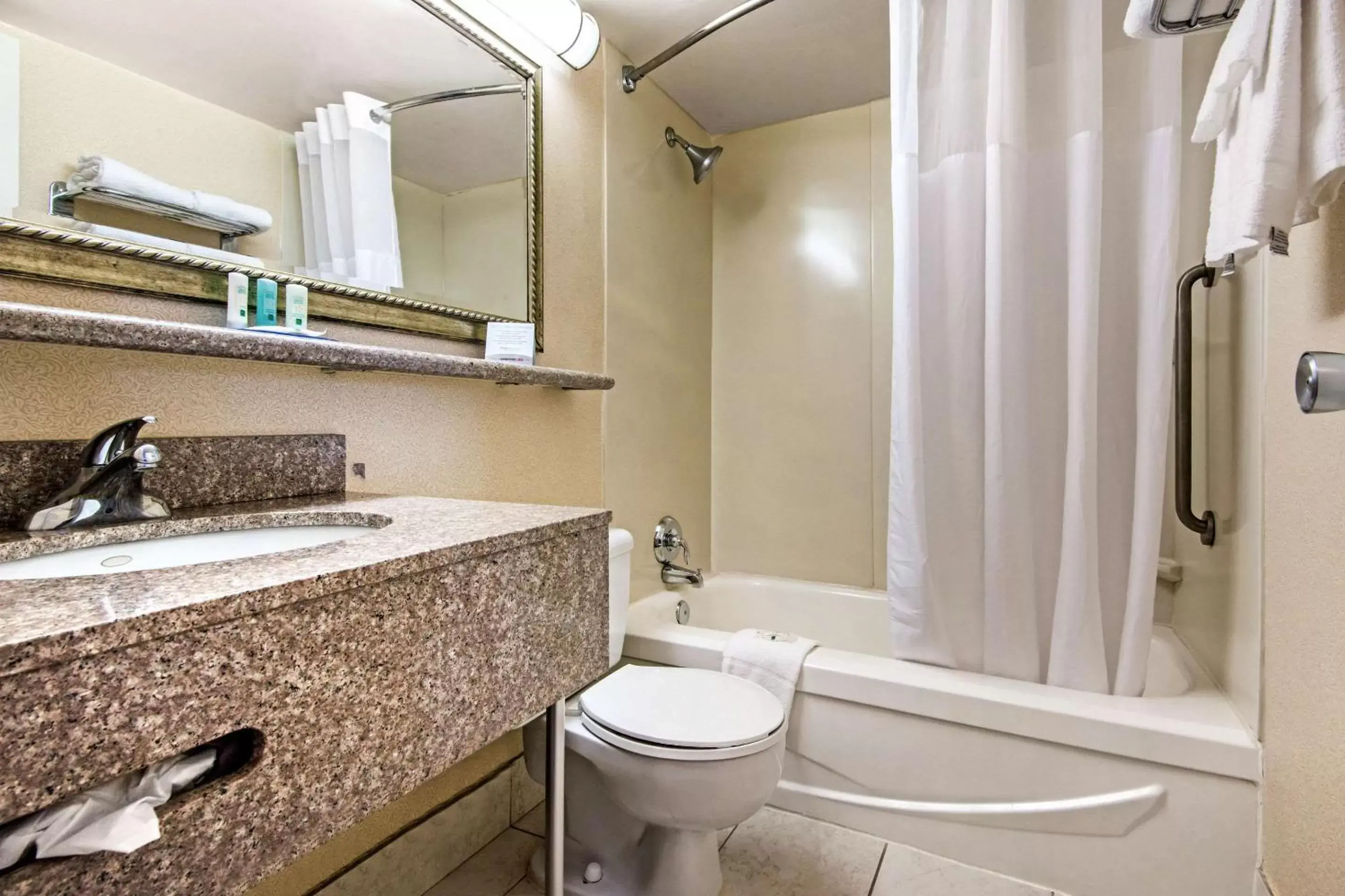 Bedroom, Bathroom in Quality Inn & Suites Toronto West 401-Dixie