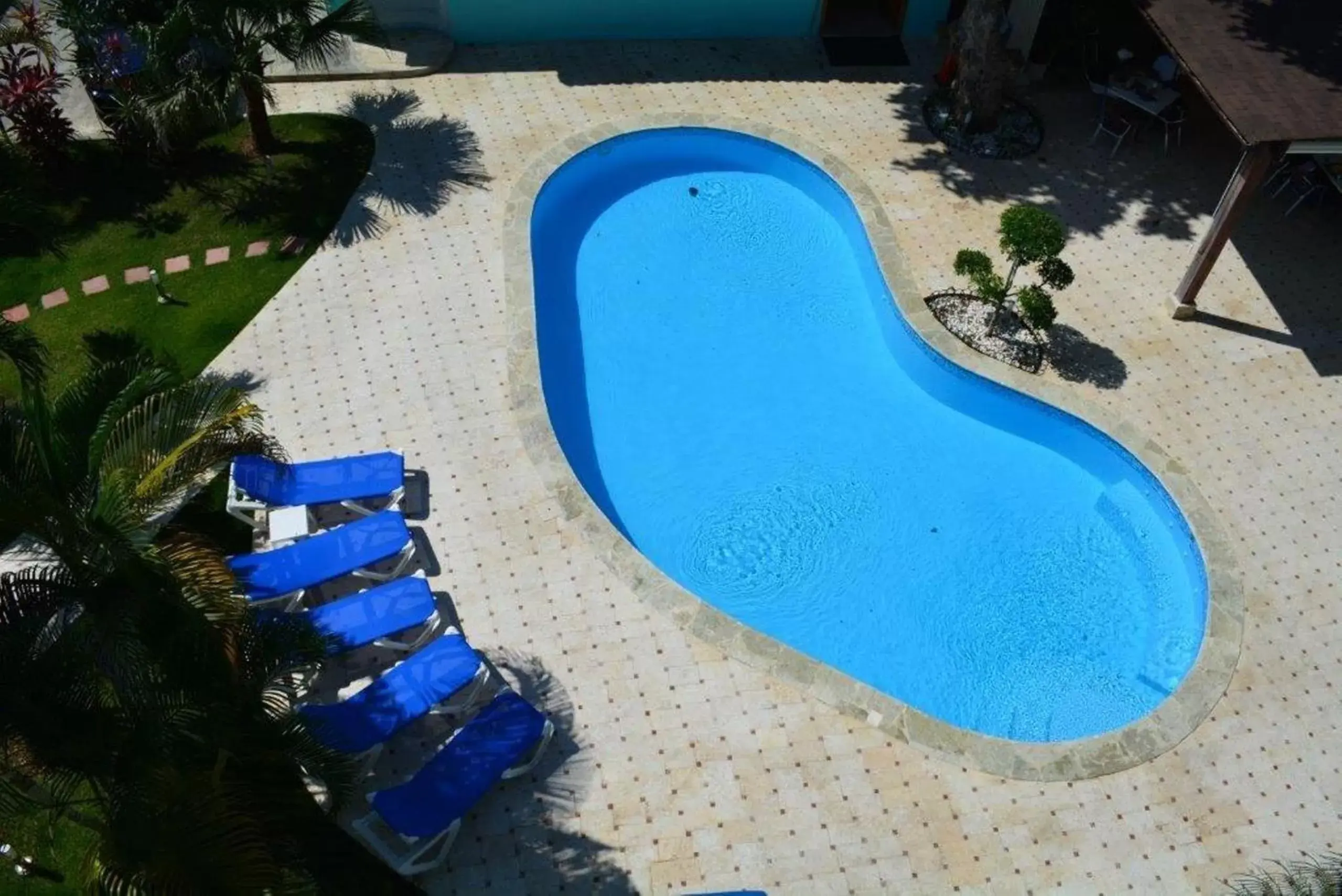 Day, Pool View in New Garden Hotel