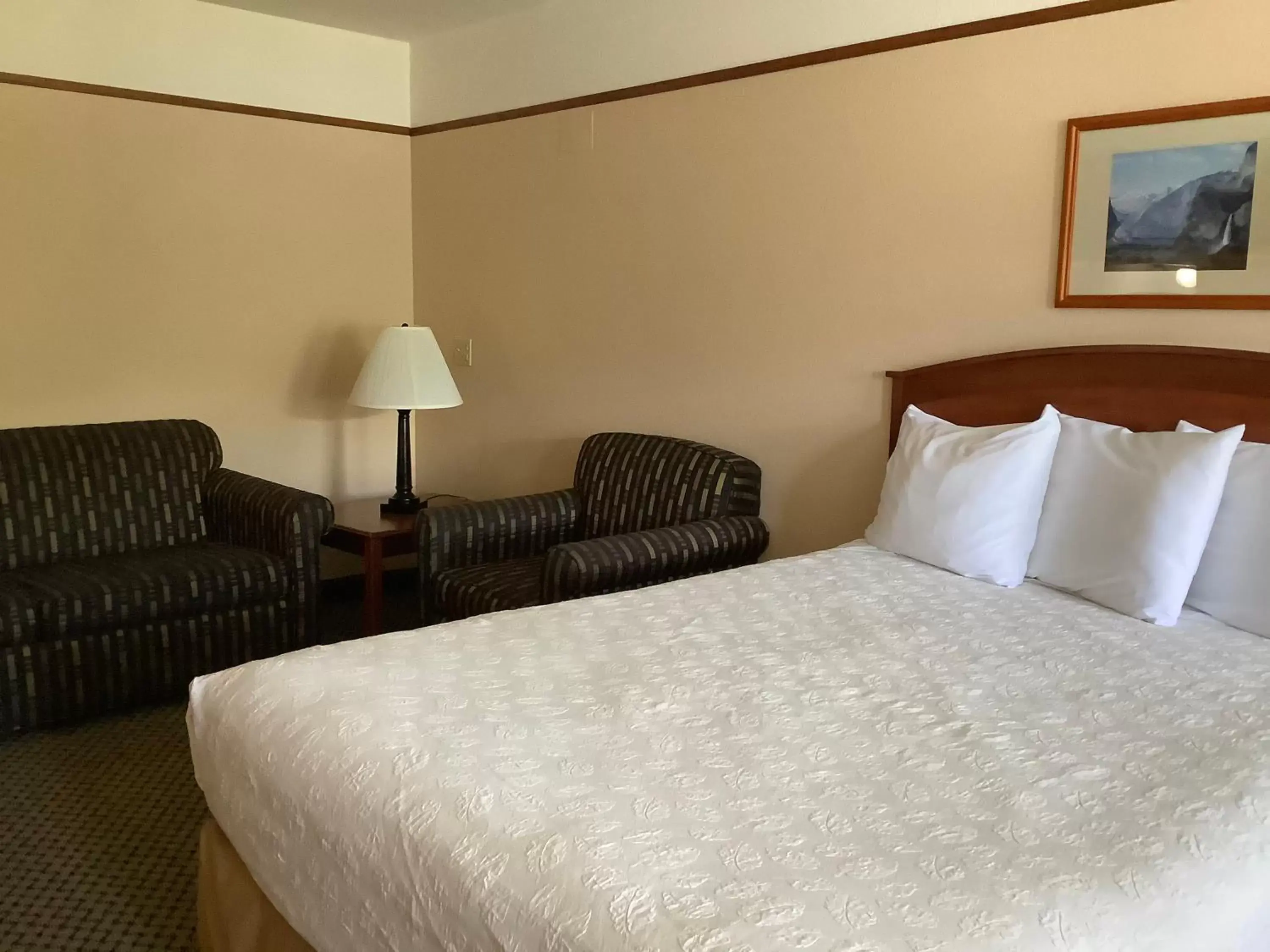 Other, Bed in Luxury Inn & Suites