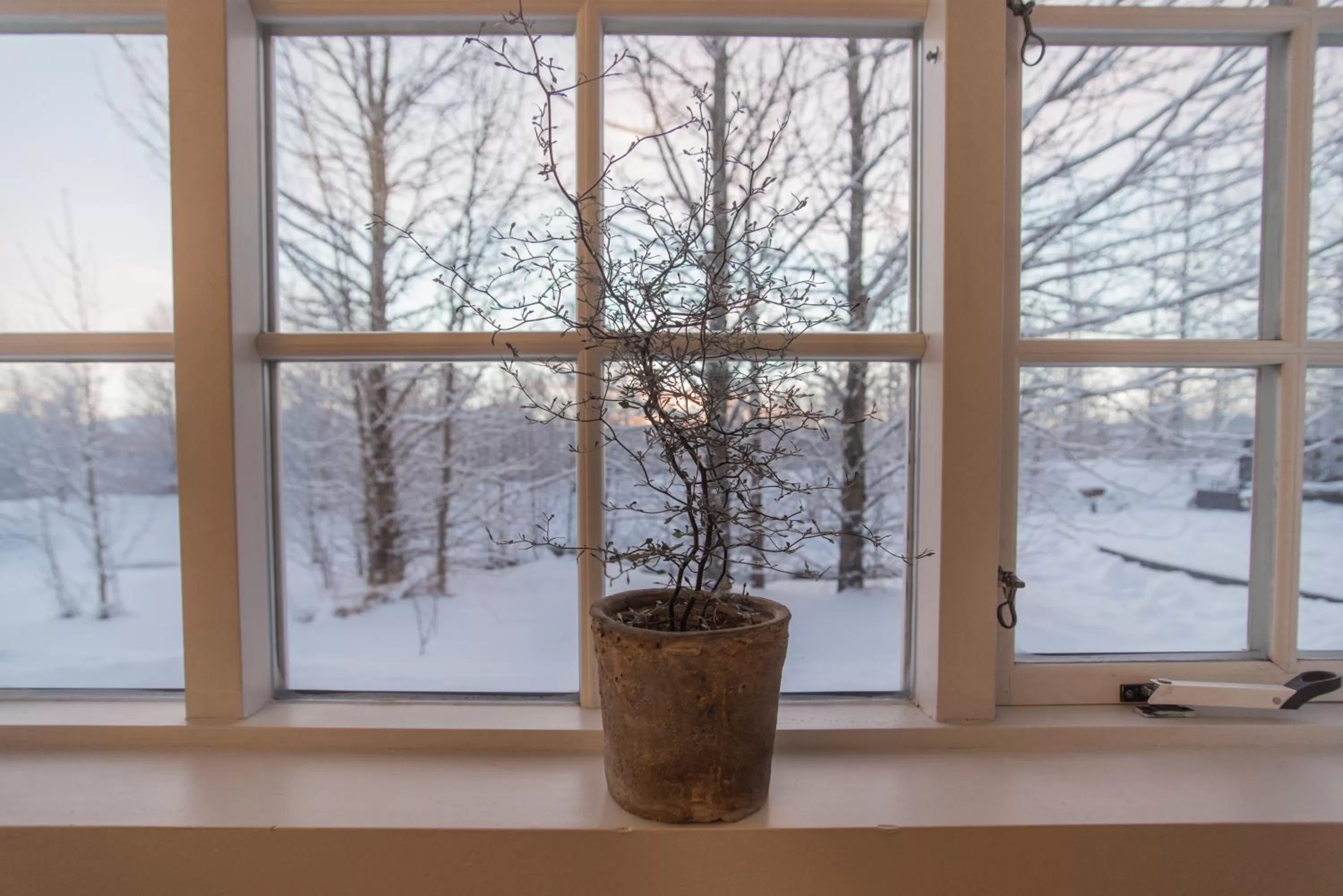 Garden view in Hotel Laxnes