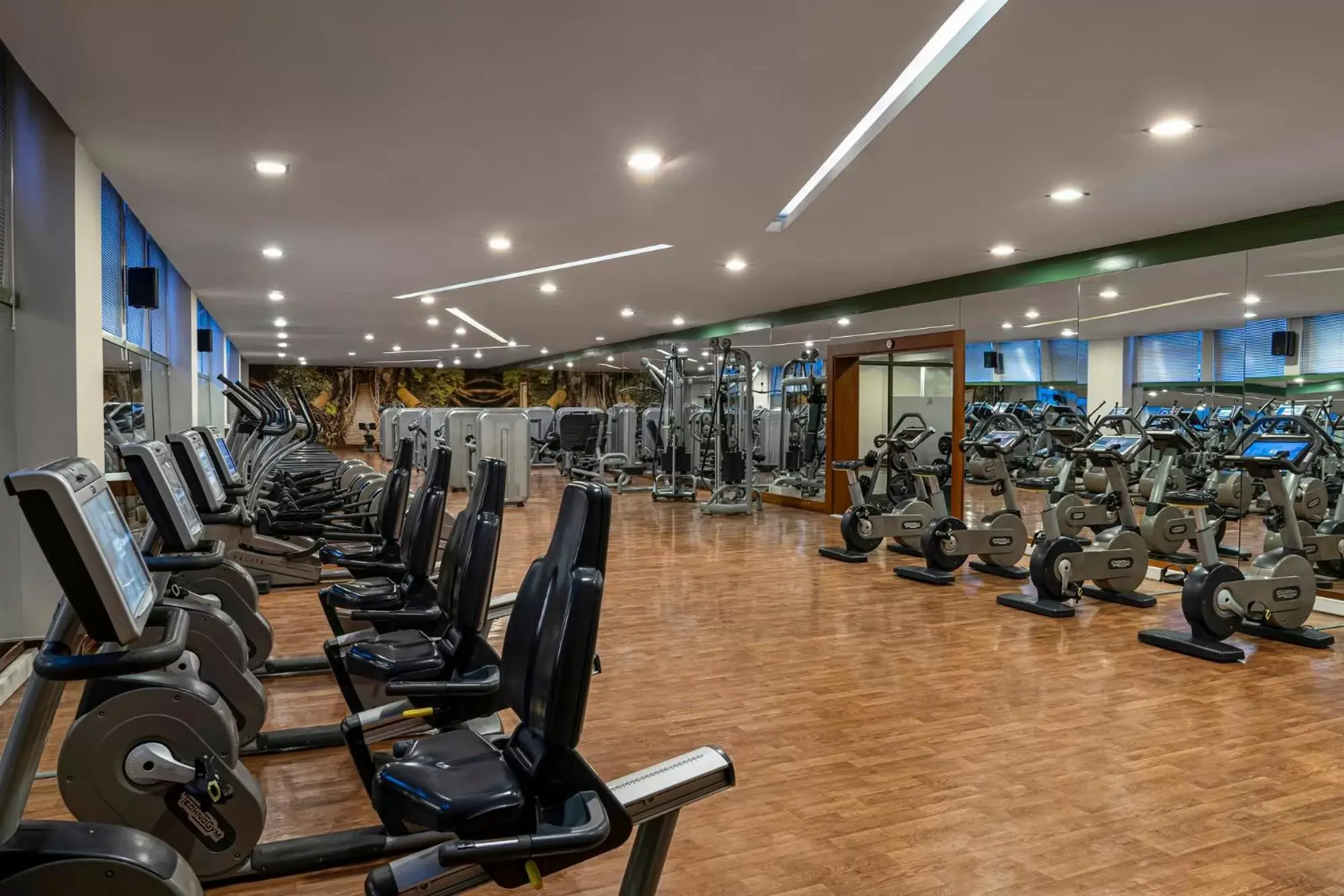 Fitness centre/facilities, Fitness Center/Facilities in Kaya Izmir Thermal & Convention