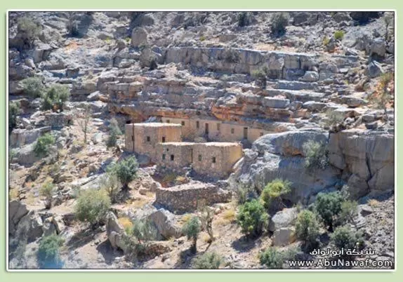 Area and facilities in Jibreen Hotel