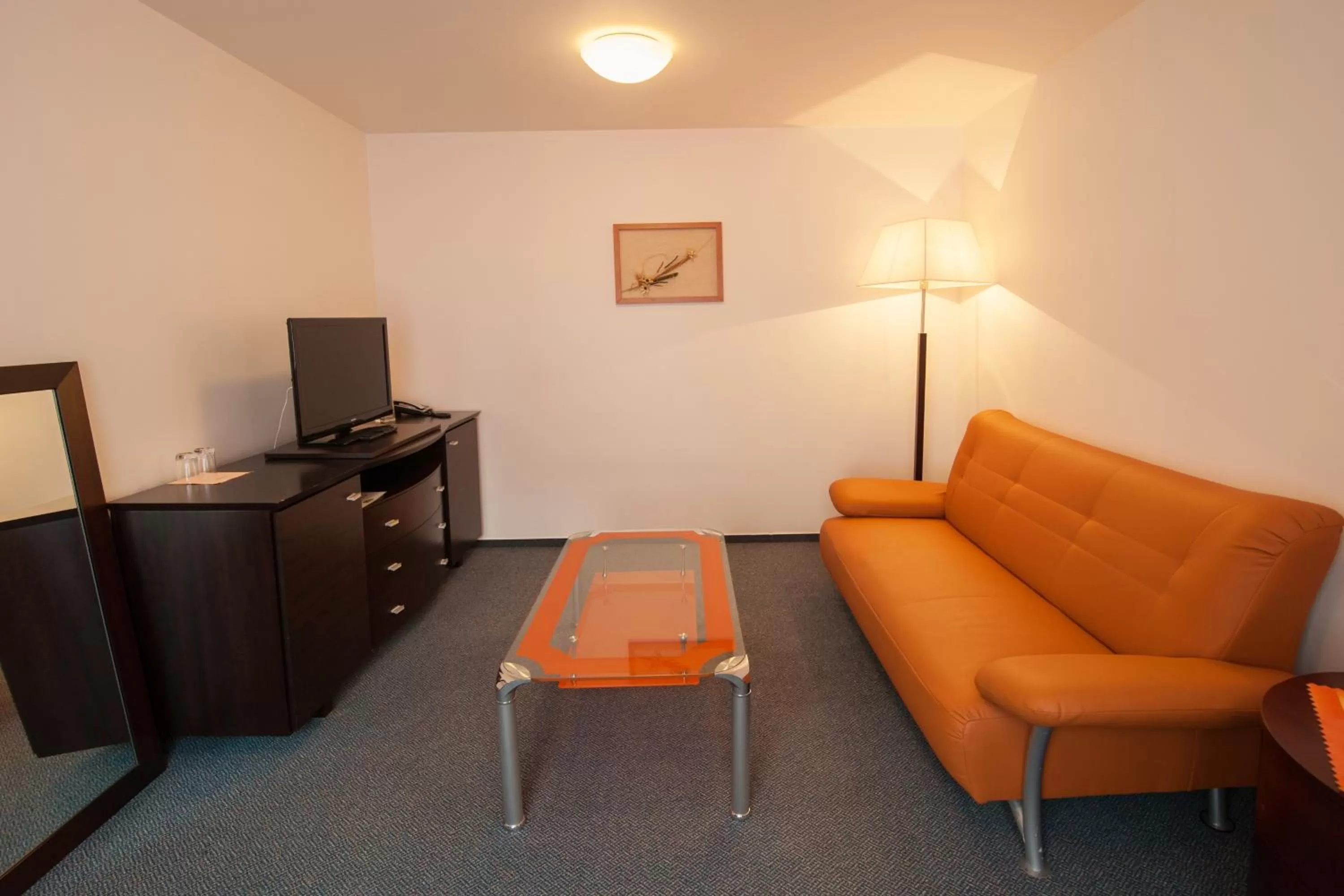 Living room in Sport-V-Hotel