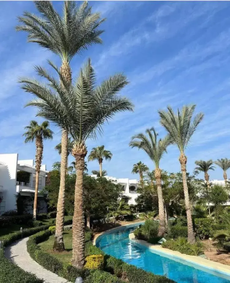 Swimming Pool in Monte Carlo Sharm Resort & Spa