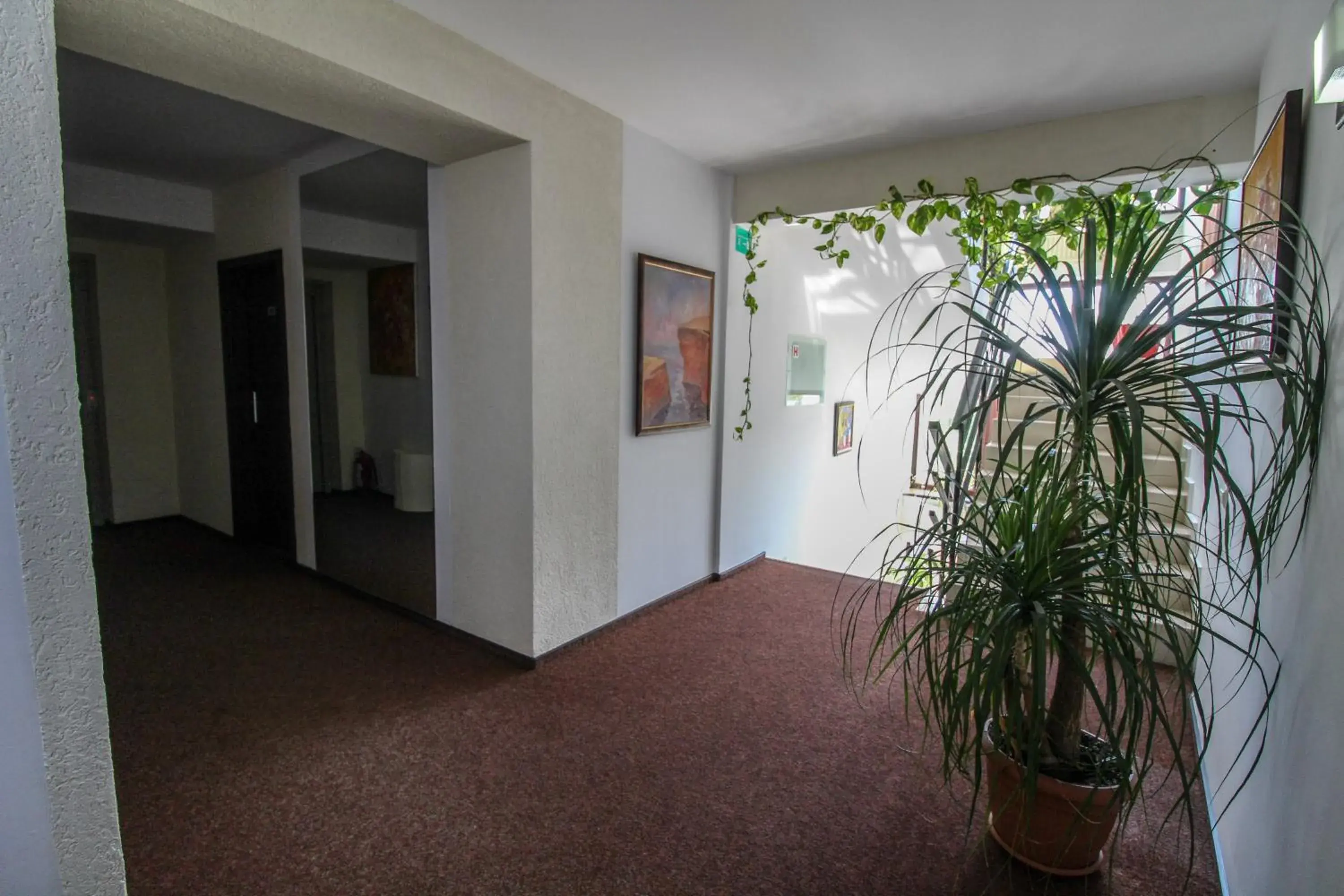 Lobby or reception in Hotel Razvan