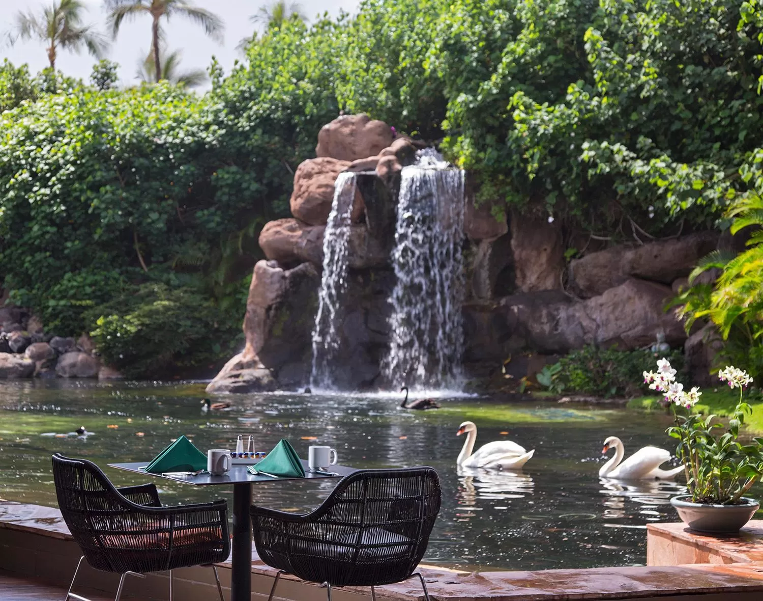 Restaurant/places to eat in Hyatt Regency Maui Resort & Spa