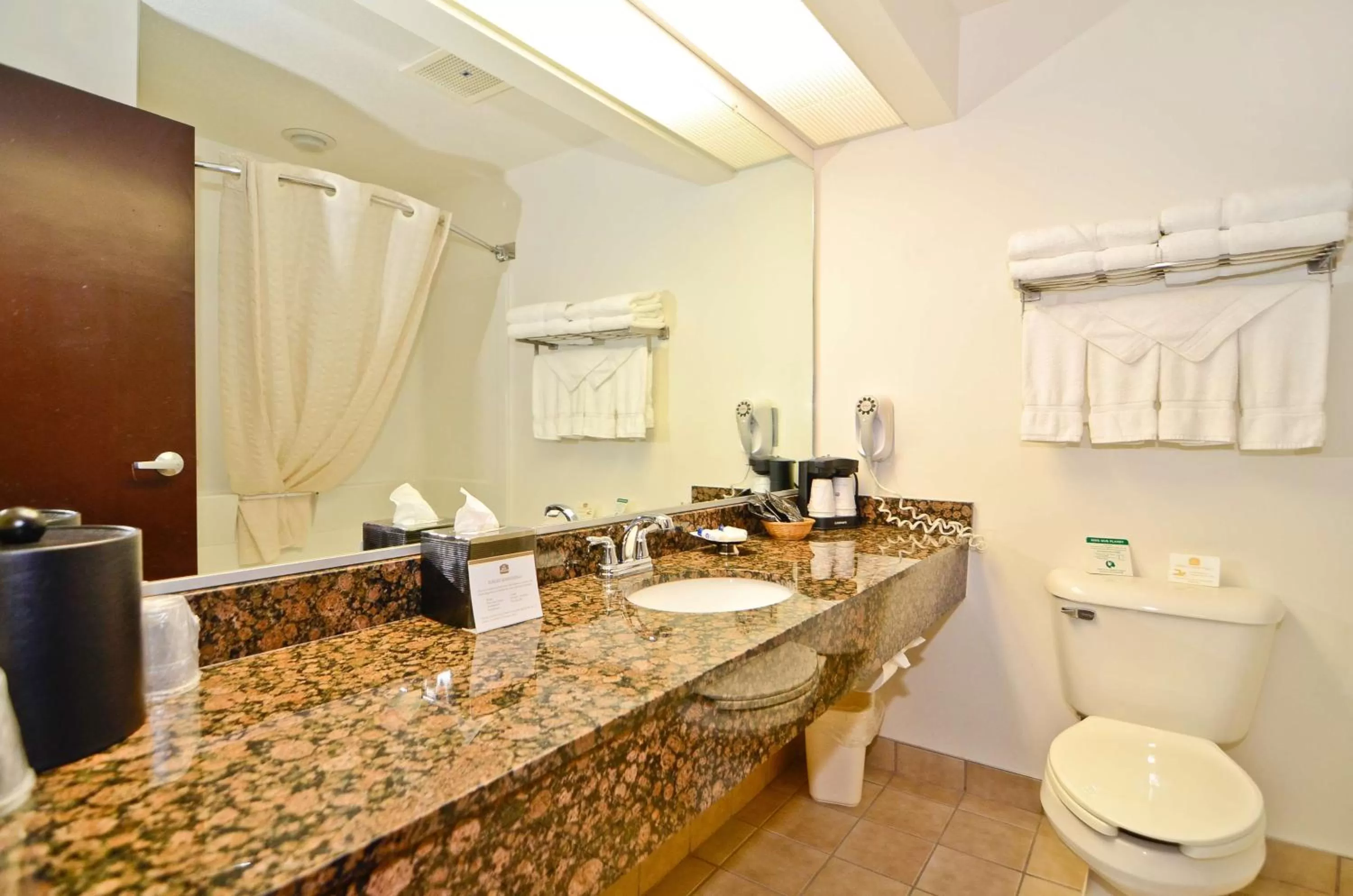 Bathroom in Best Western Gas City