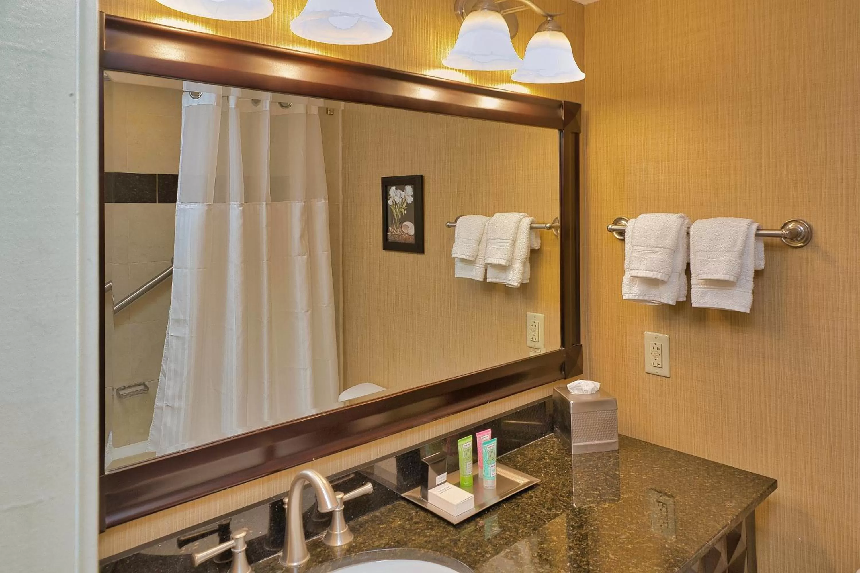 Bathroom in Wyndham Grand Pittsburgh