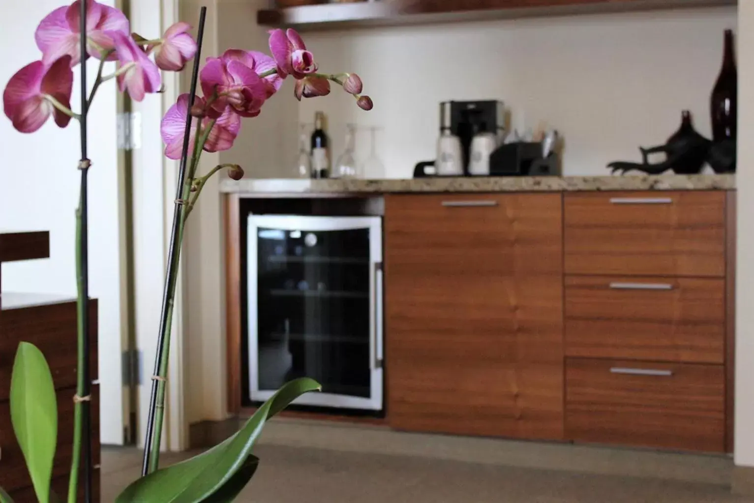 Decorative detail, Kitchen/Kitchenette in I Hotel and Illinois Conference Center - Champaign