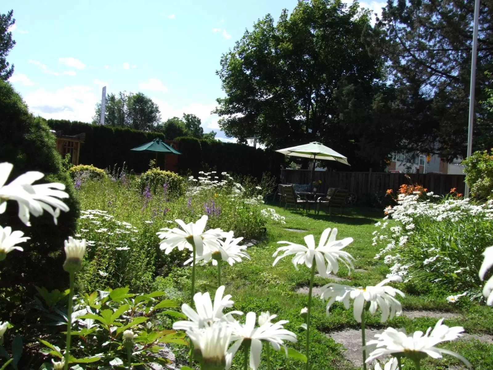 Patio, Garden in Stirling House