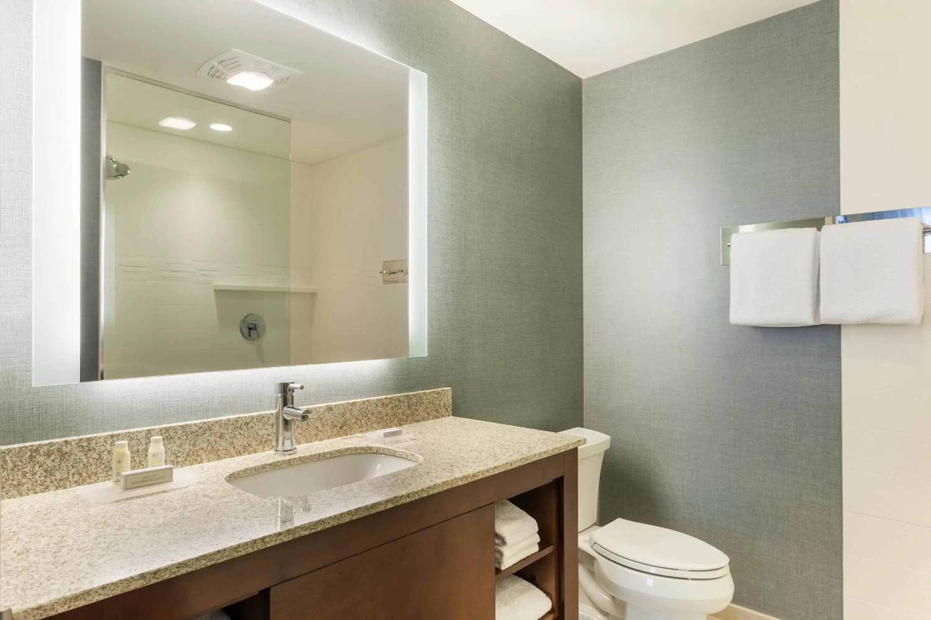 Bathroom in Residence Inn by Marriott Orlando Downtown