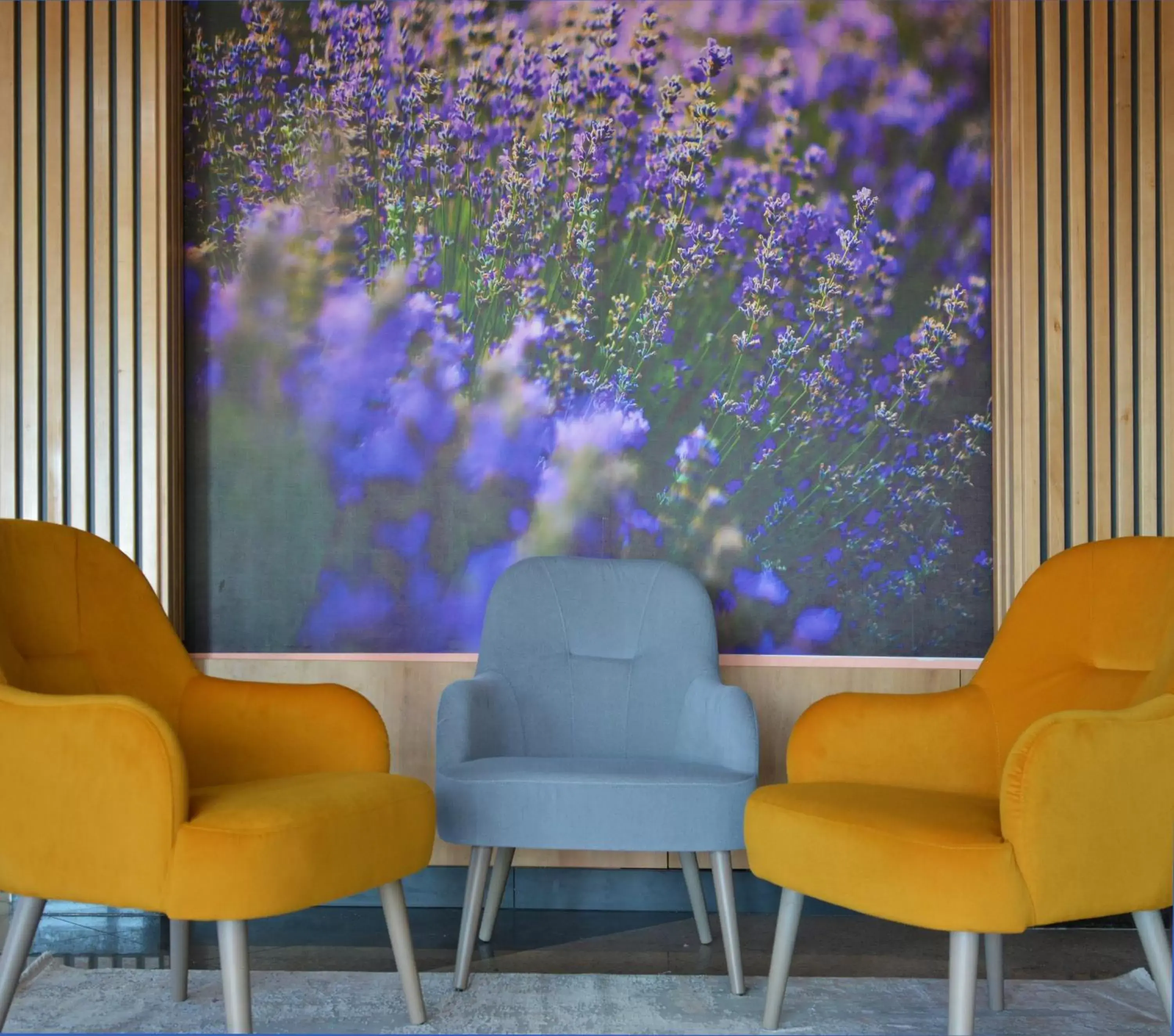 Lounge or bar, Seating Area in Mercure Medias Binderbubi Hotel And Spa