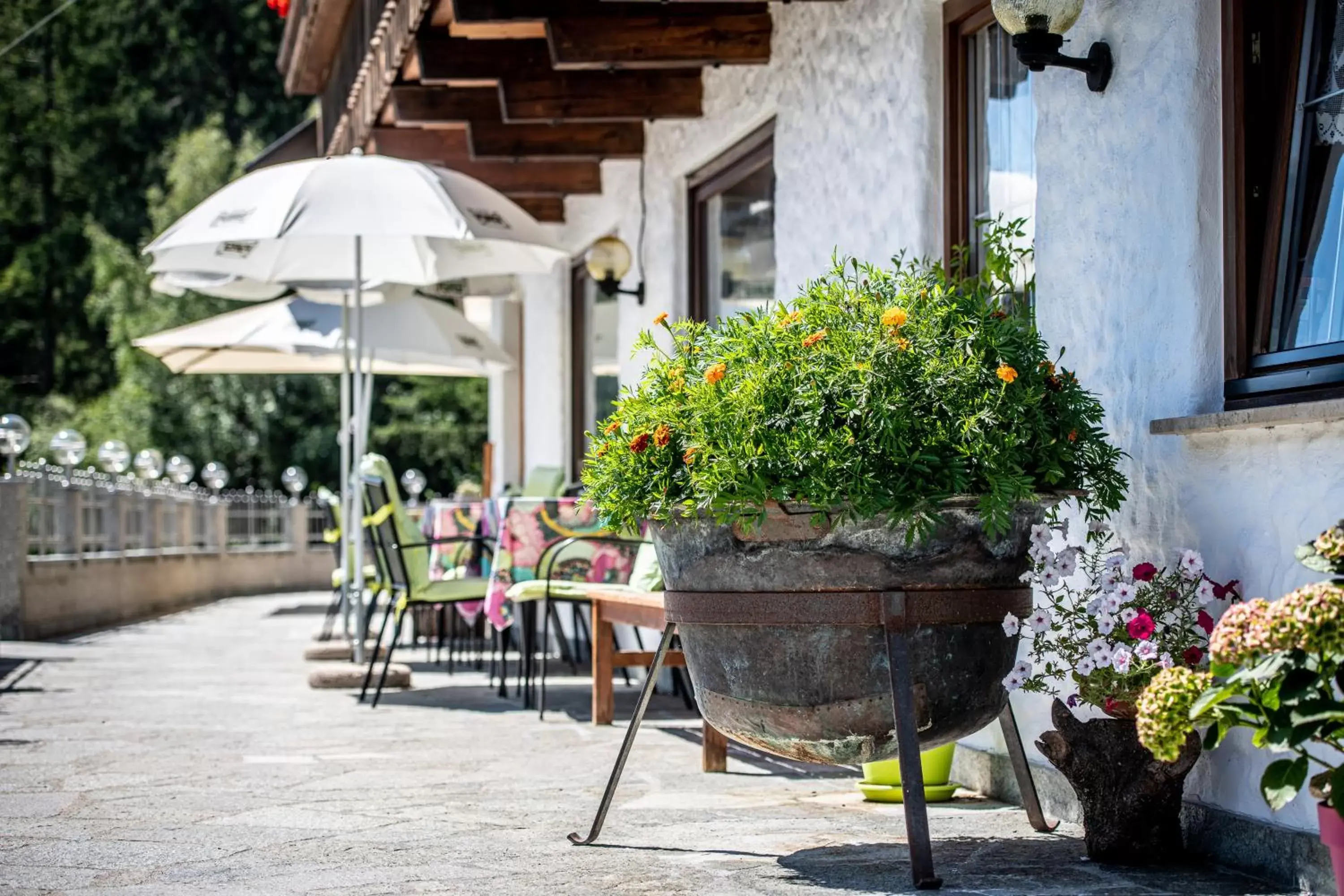 Balcony/Terrace in Gasthof Bauhof