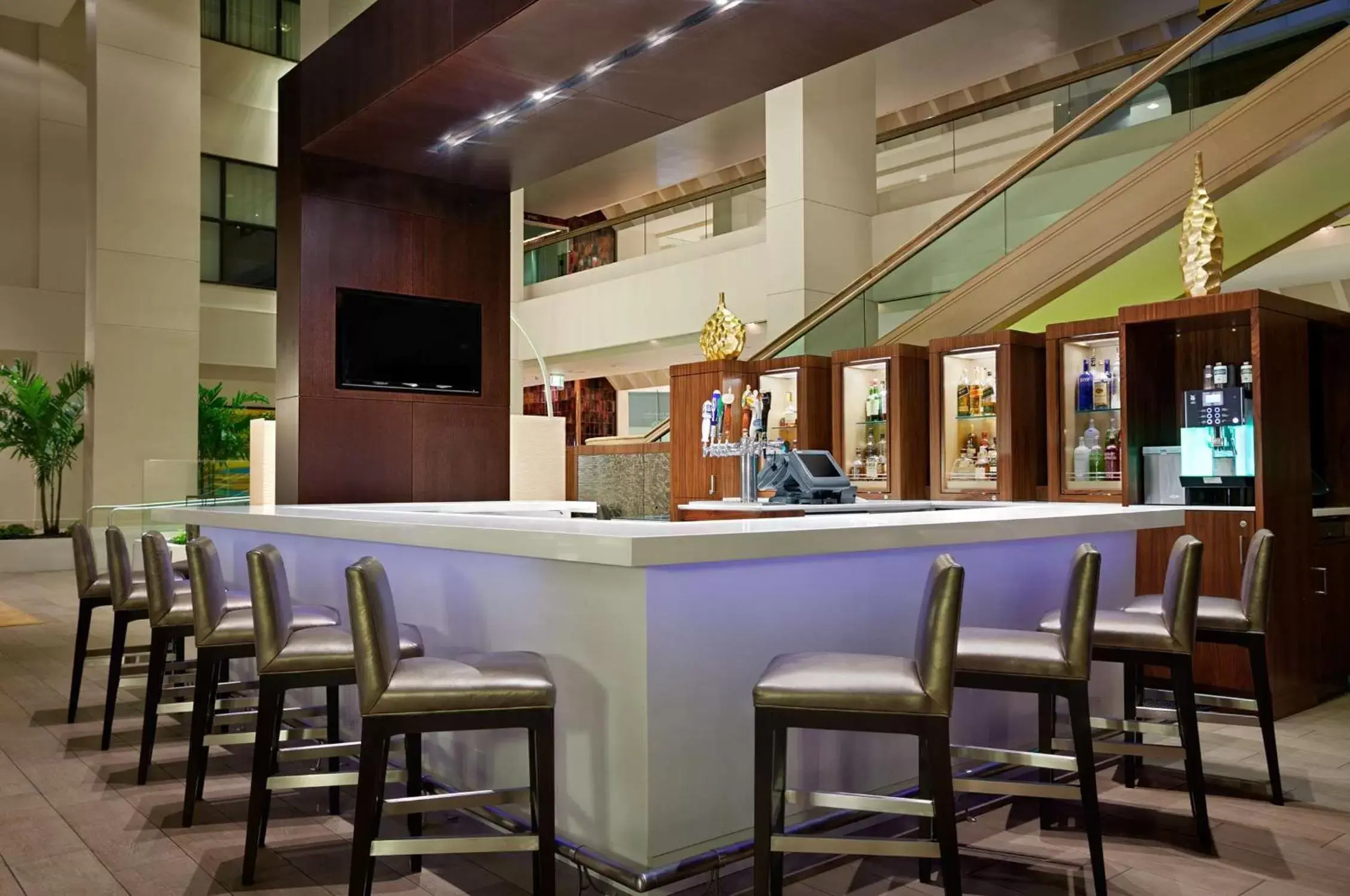Lounge or bar, Lounge/Bar in Hilton Miami Airport Blue Lagoon