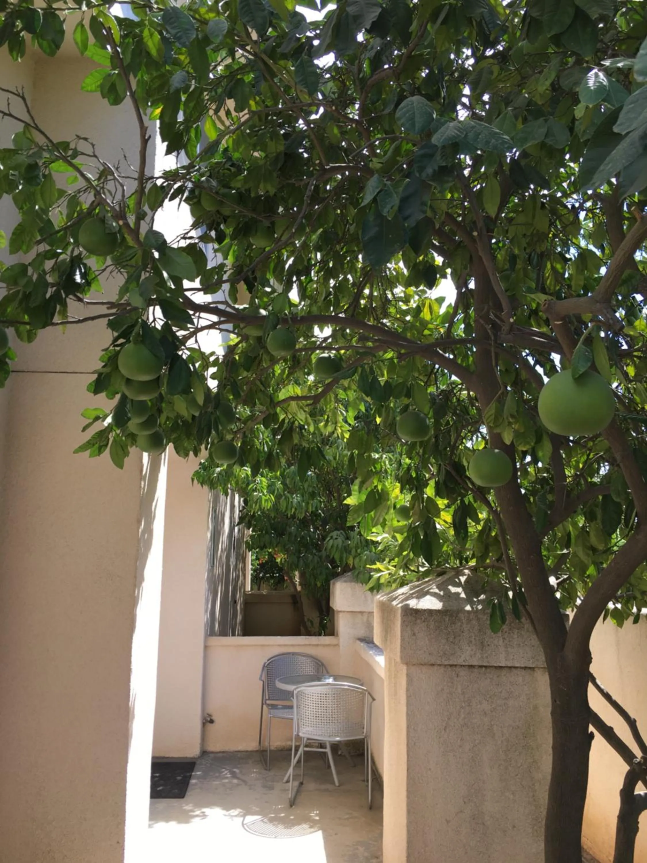 Garden in Garden Inn and Suites Fresno