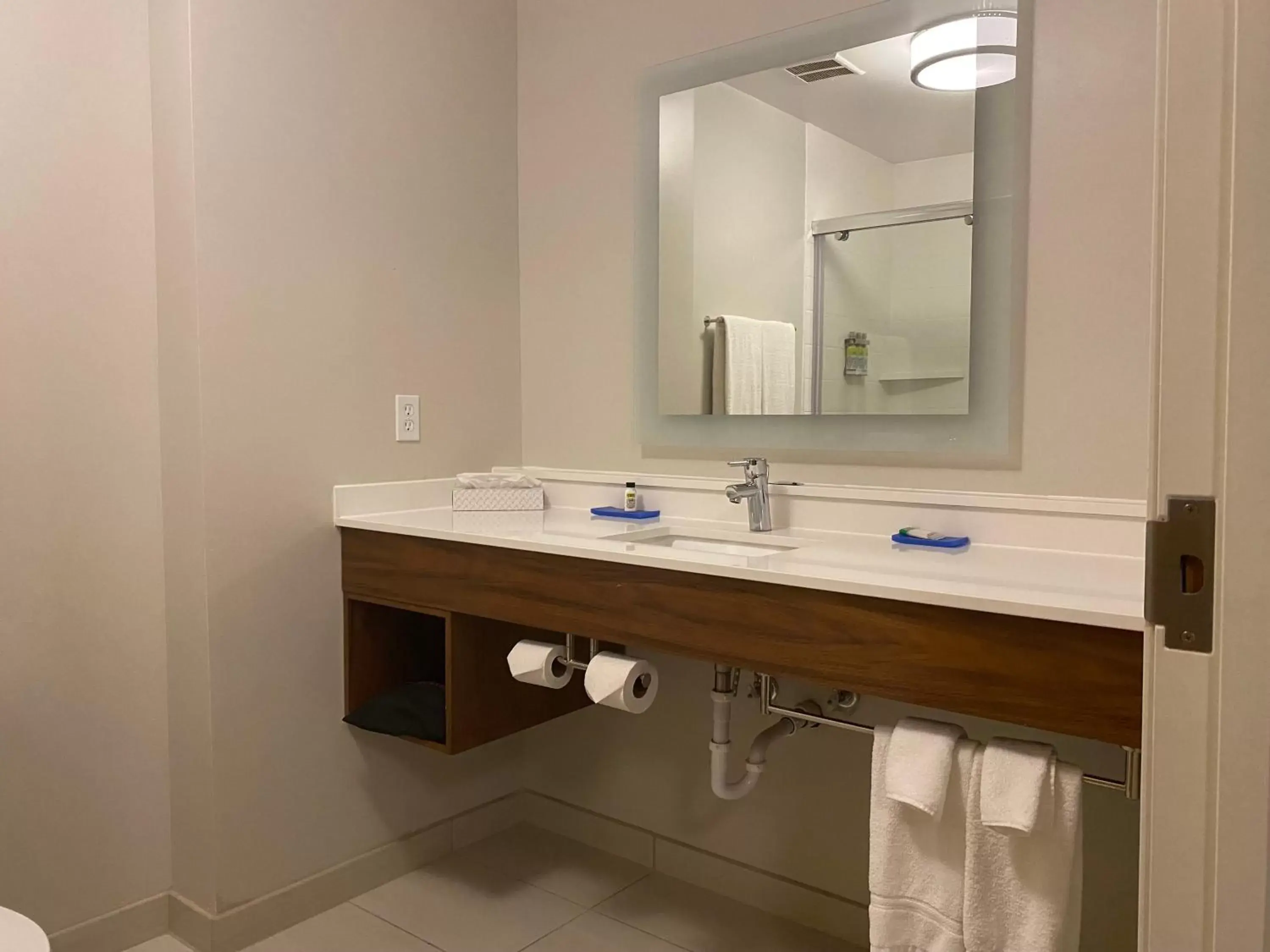 Bathroom in Holiday Inn Express Hotel & Suites Logansport, an IHG Hotel