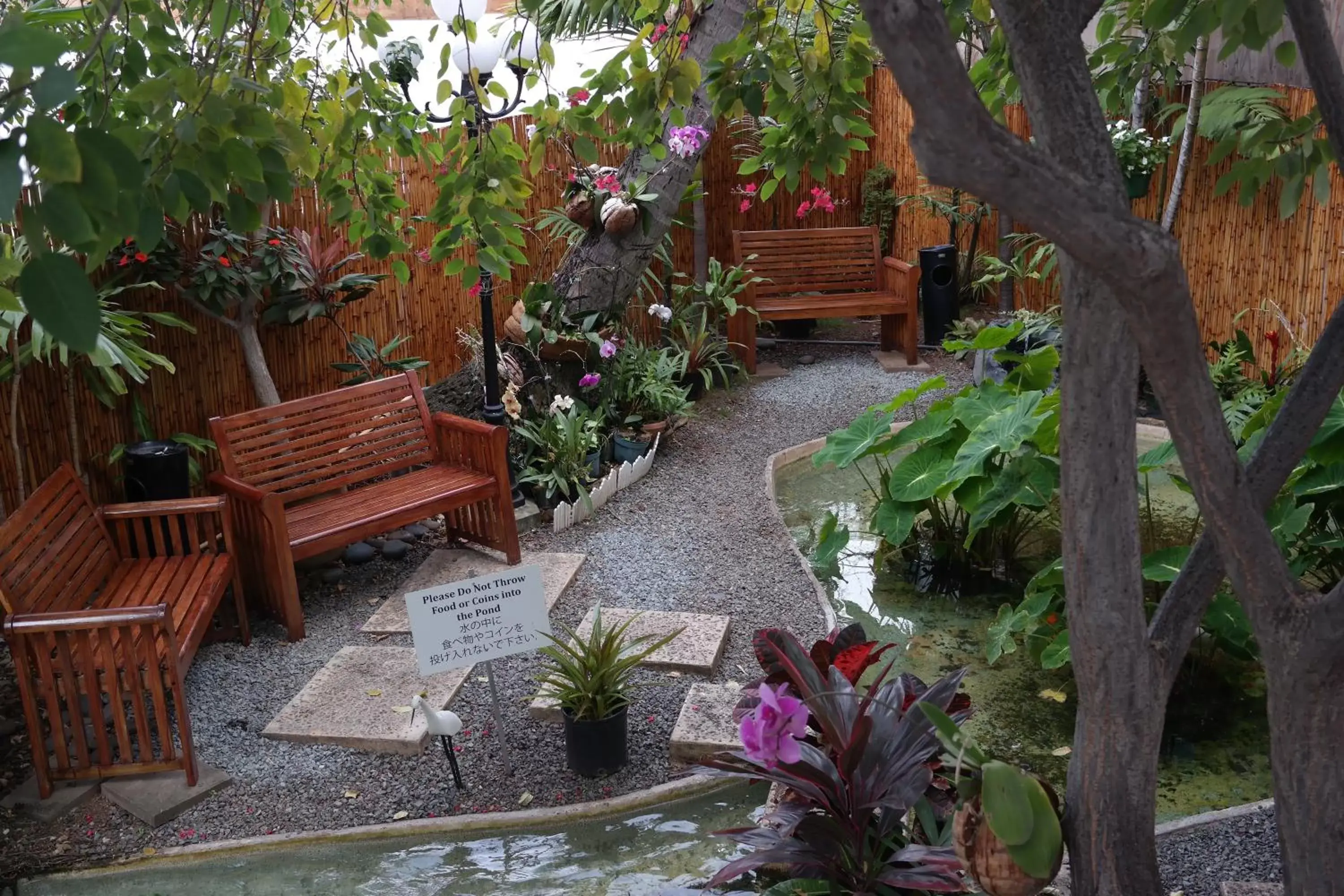 Garden in Aqua Oasis