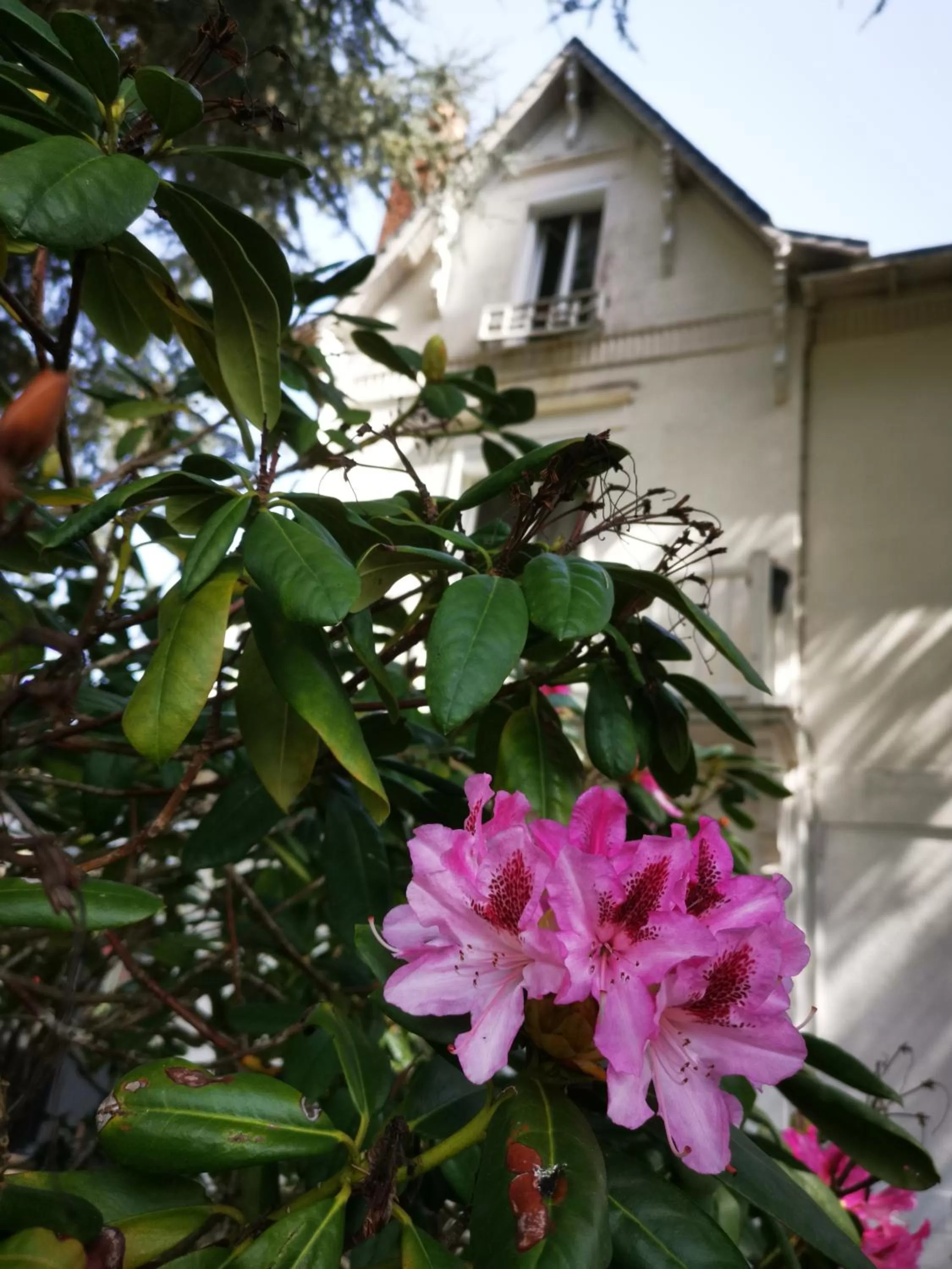 Property Building in Chambres d'hôtes La Maison Blanche