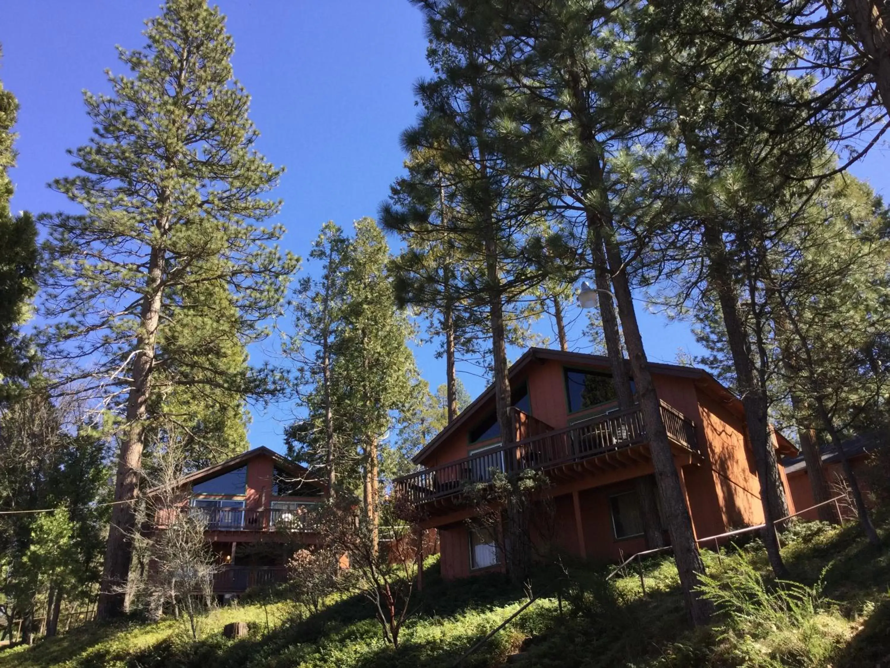 View (from property/room), Property Building in The Pines Resort & Conference Center