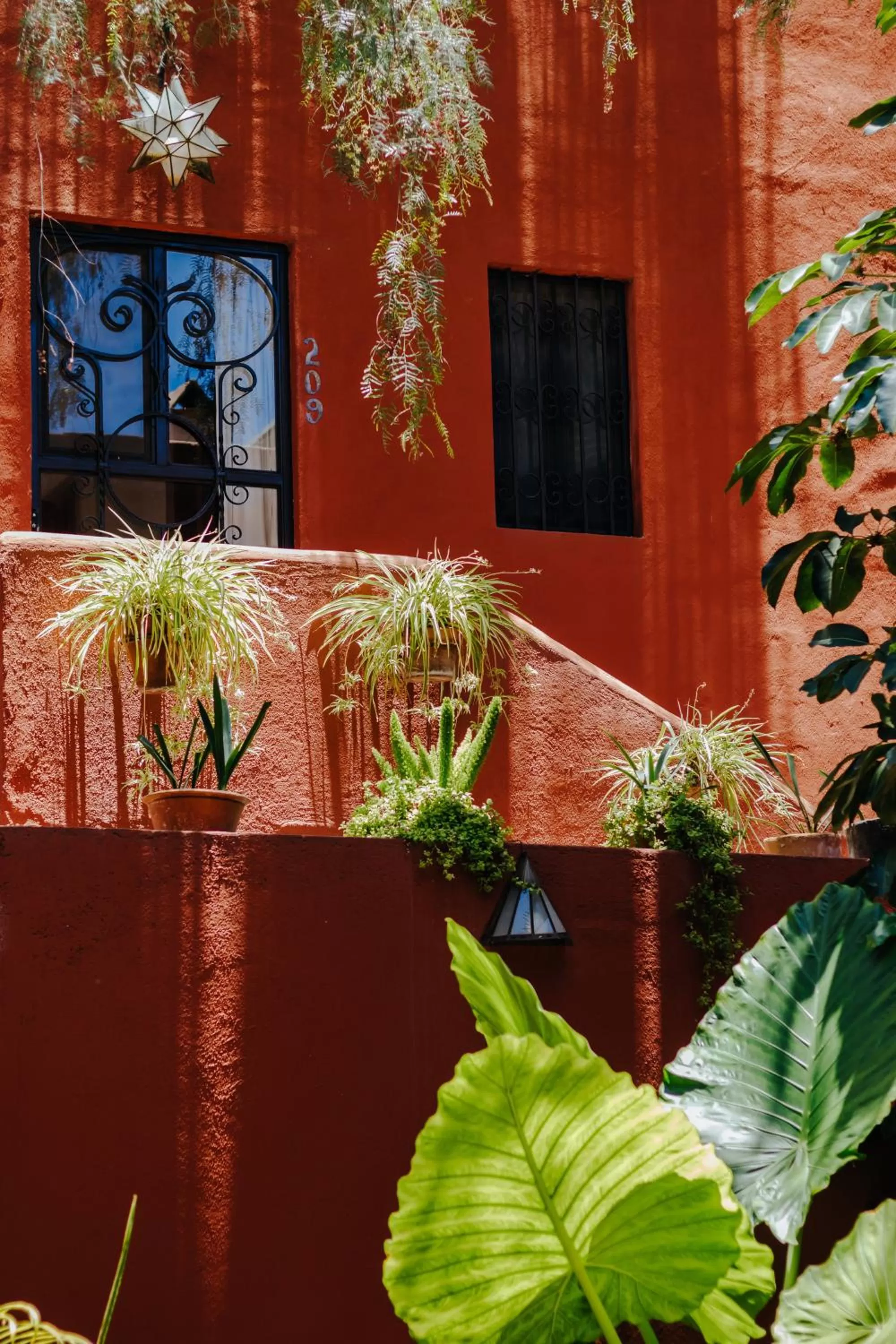 Day in Casa Luna Hotel Boutique