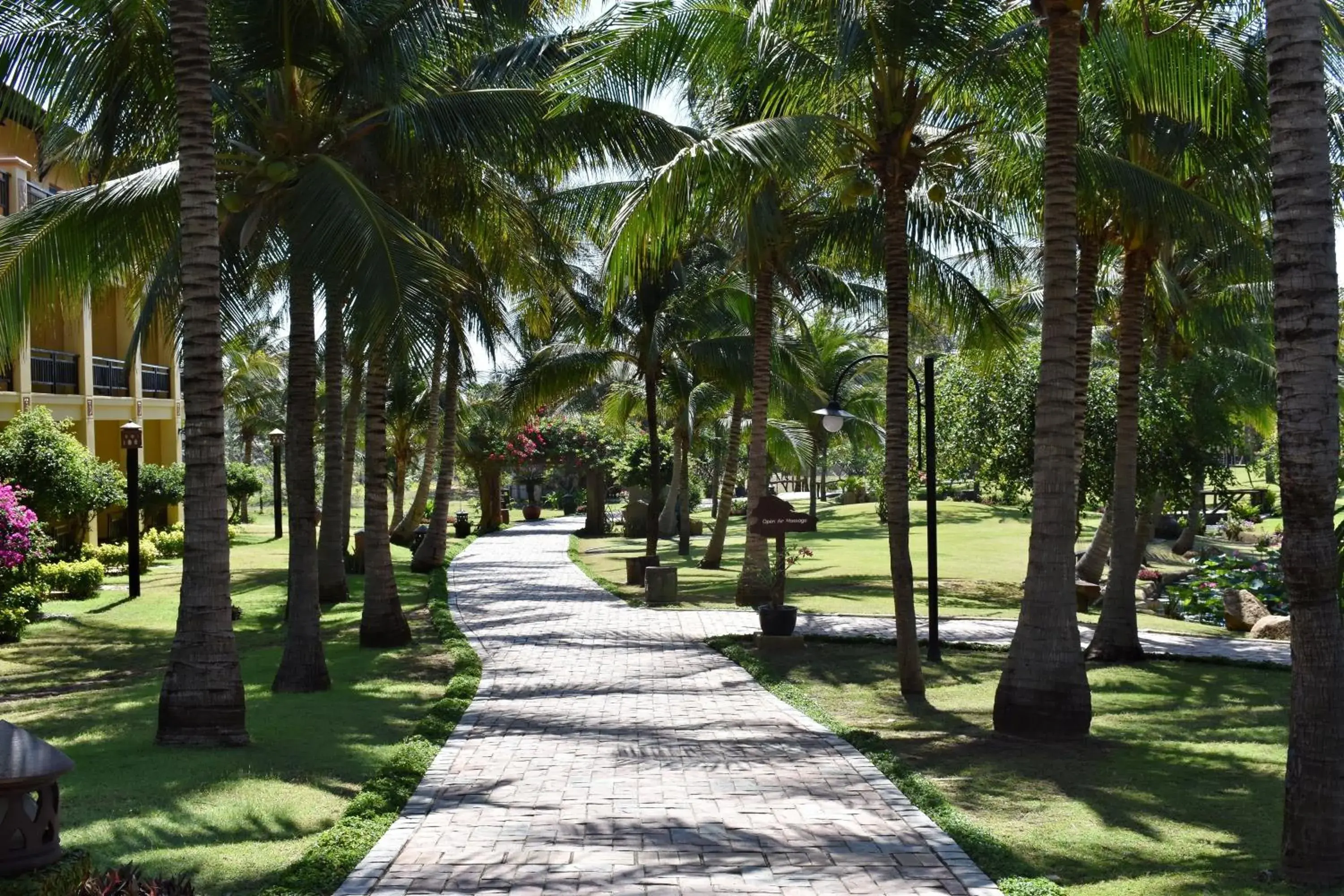 Natural landscape, Garden in Pandanus Resort